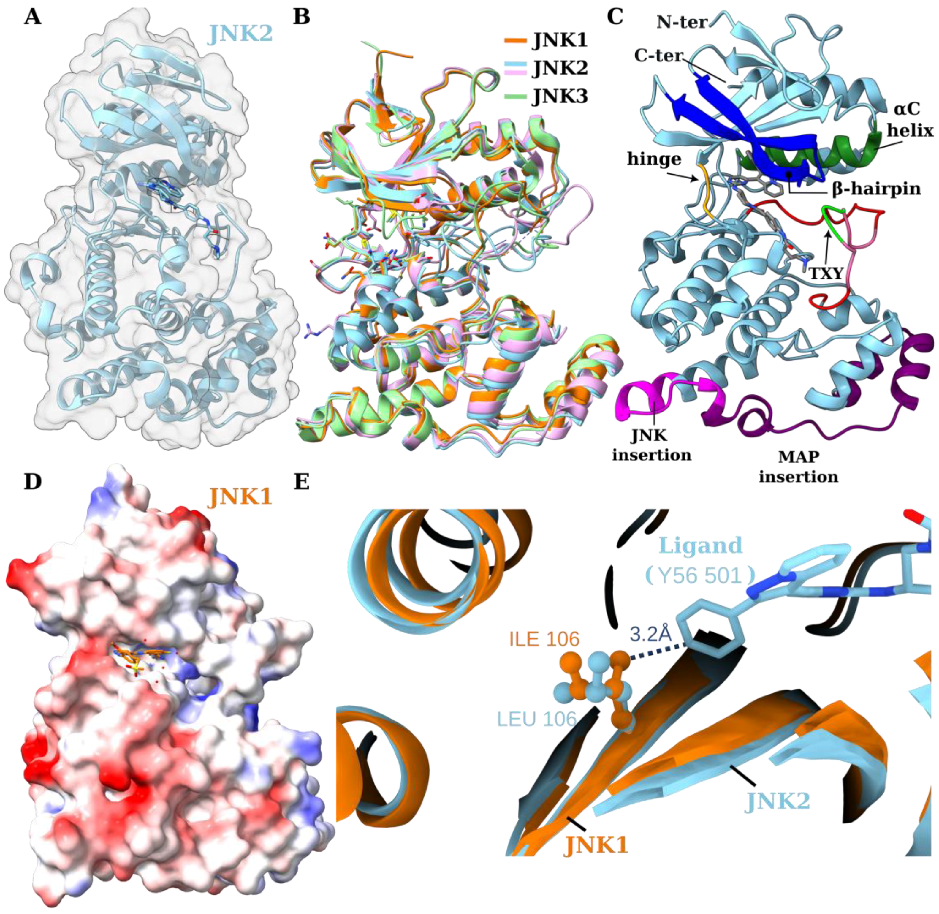 Biology 14 00649 g002