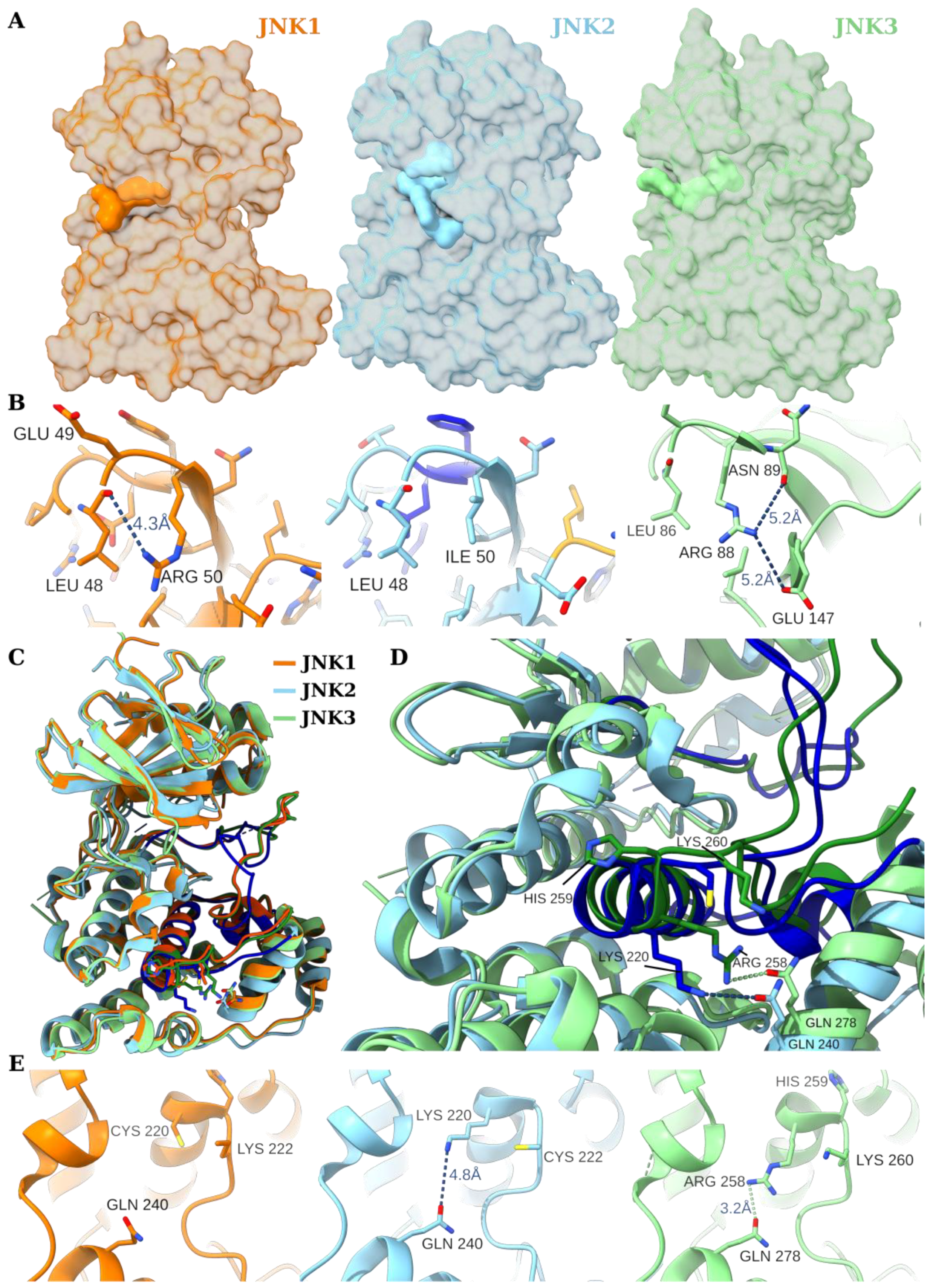 Biology 14 00649 g004