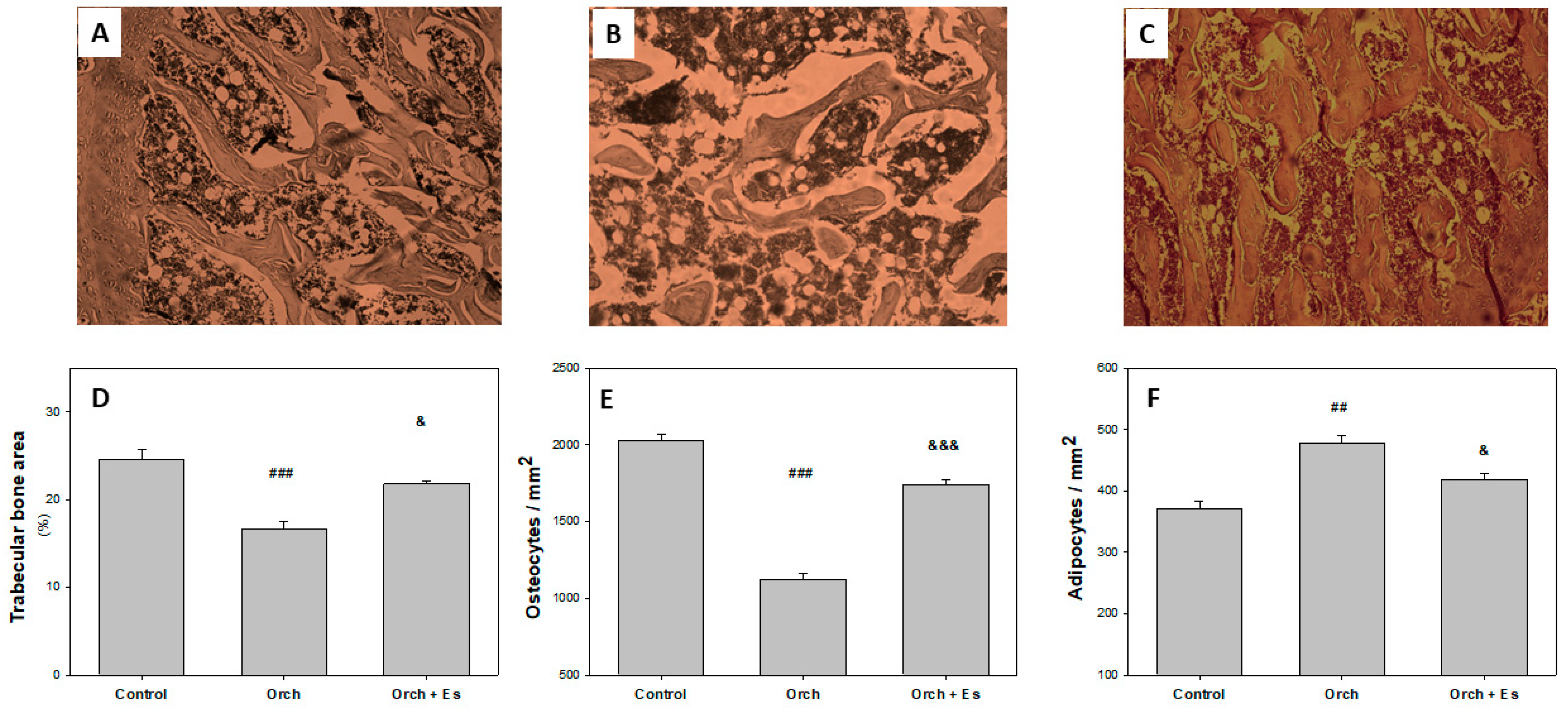 Biology 14 00650 g005