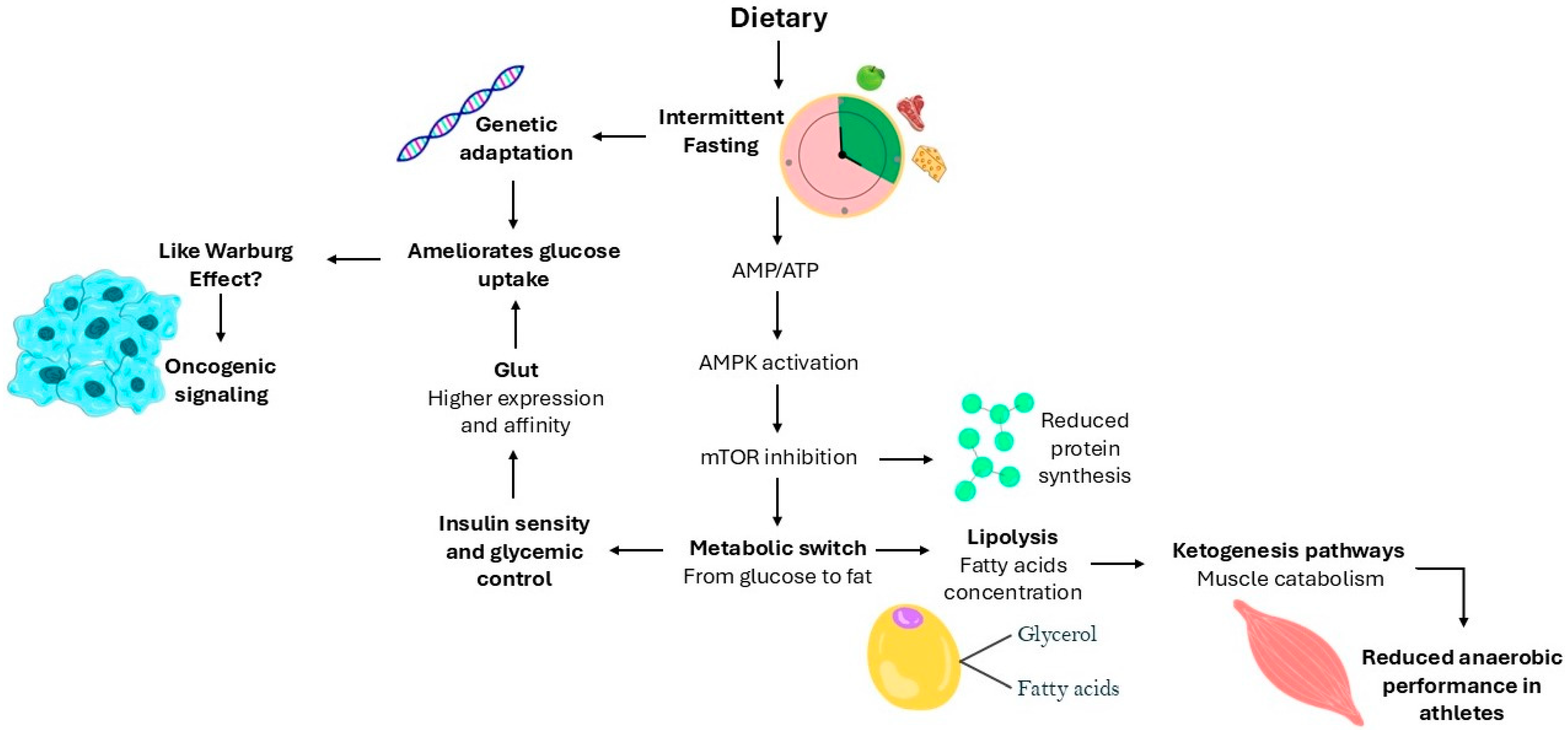 Biology 14 00669 g001
