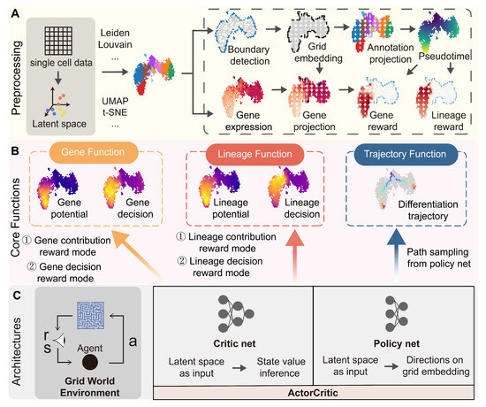 Biology 14 00679 g001