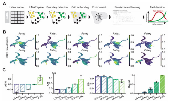 Biology 14 00679 g003
