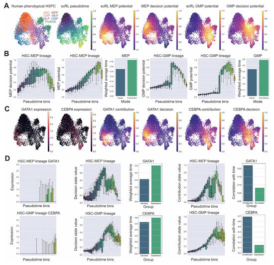 Biology 14 00679 g007
