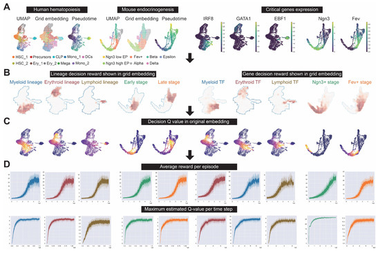 Biology 14 00679 g0a1