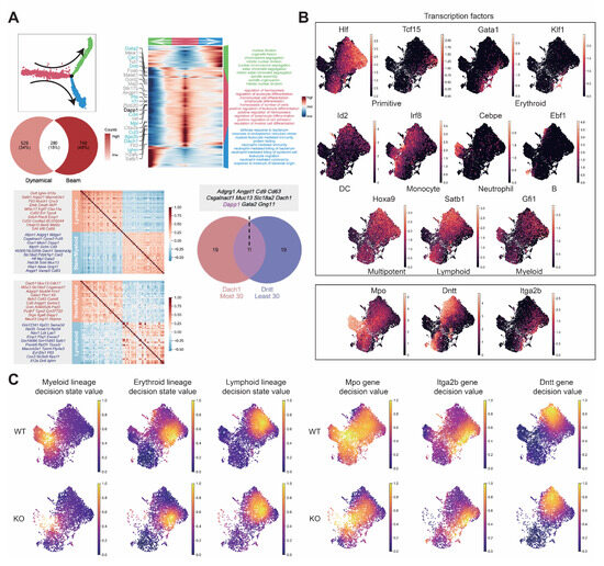 Biology 14 00679 g0a7