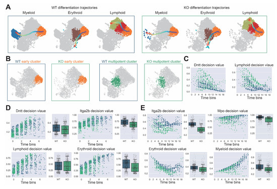 Biology 14 00679 g0a8
