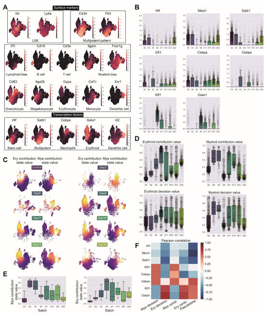 Biology 14 00679 g0a9