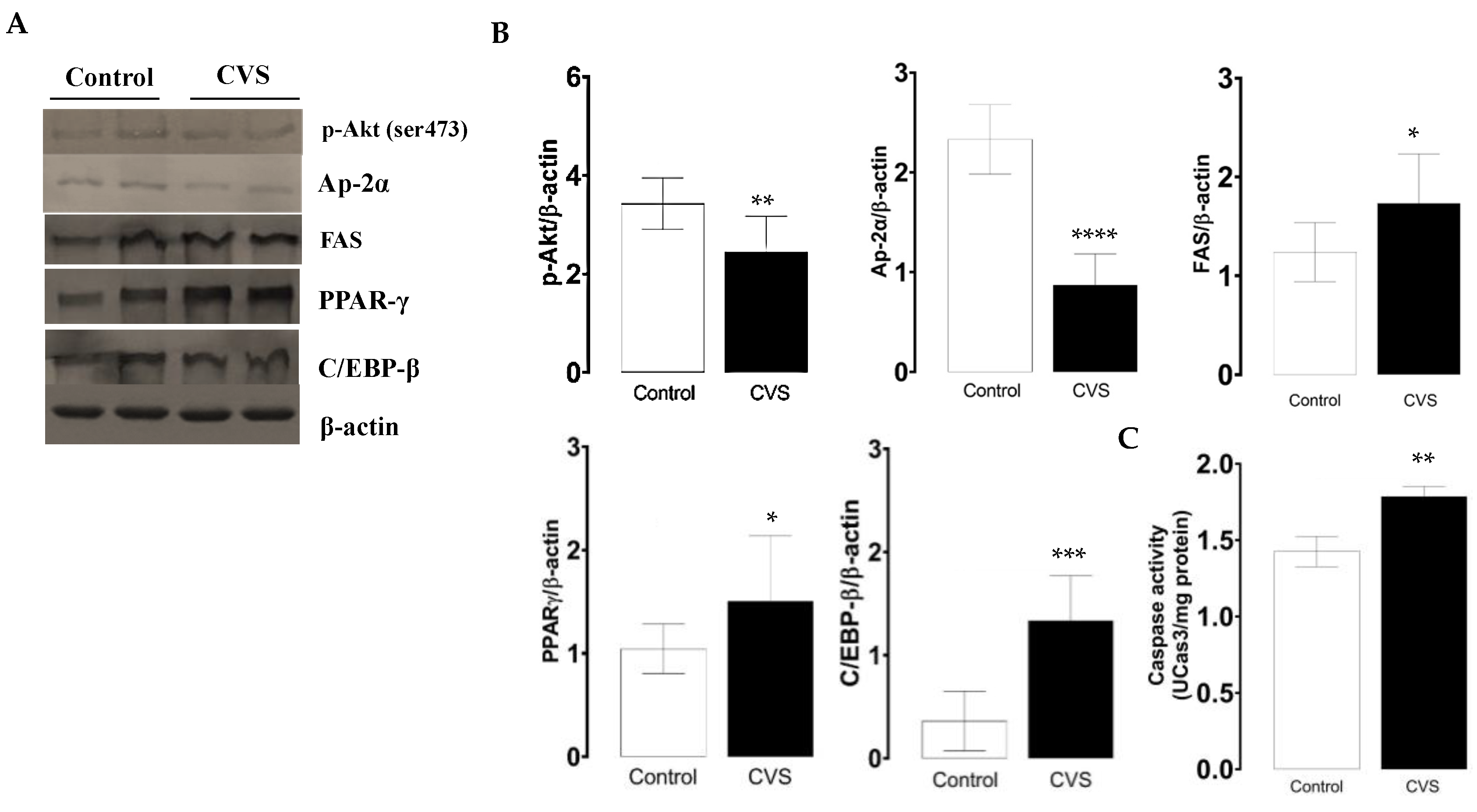 Biology 14 00690 g002