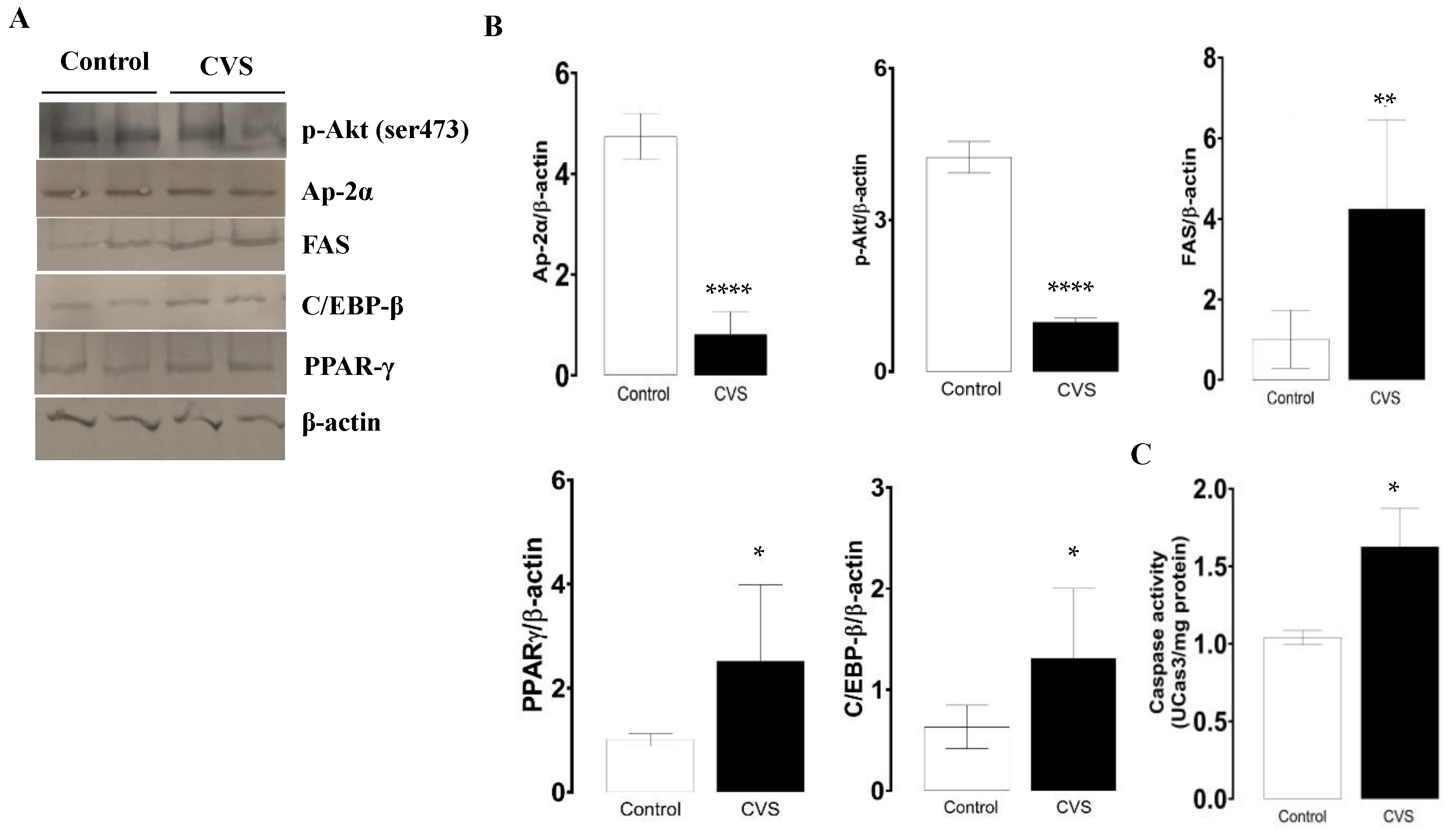 Biology 14 00690 g004