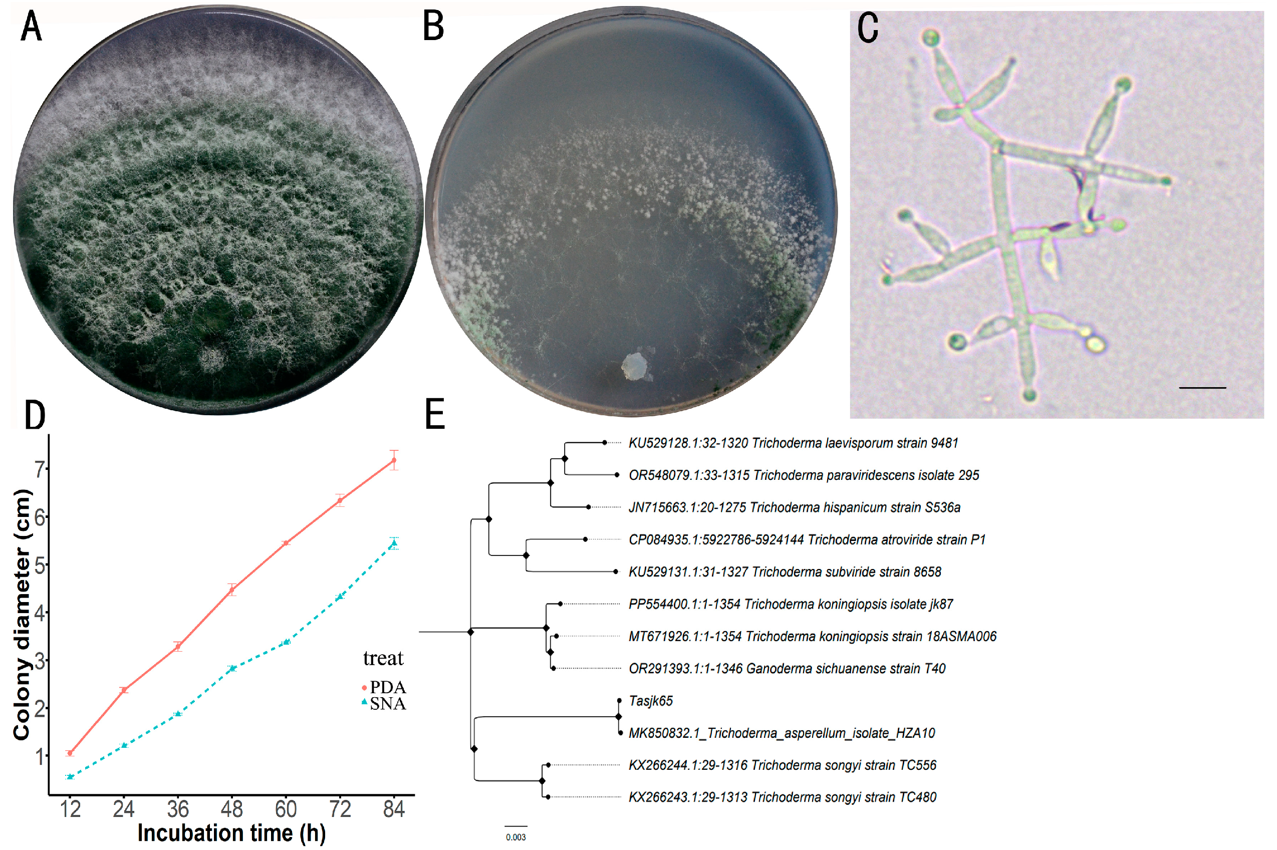 Biology 14 00691 g001