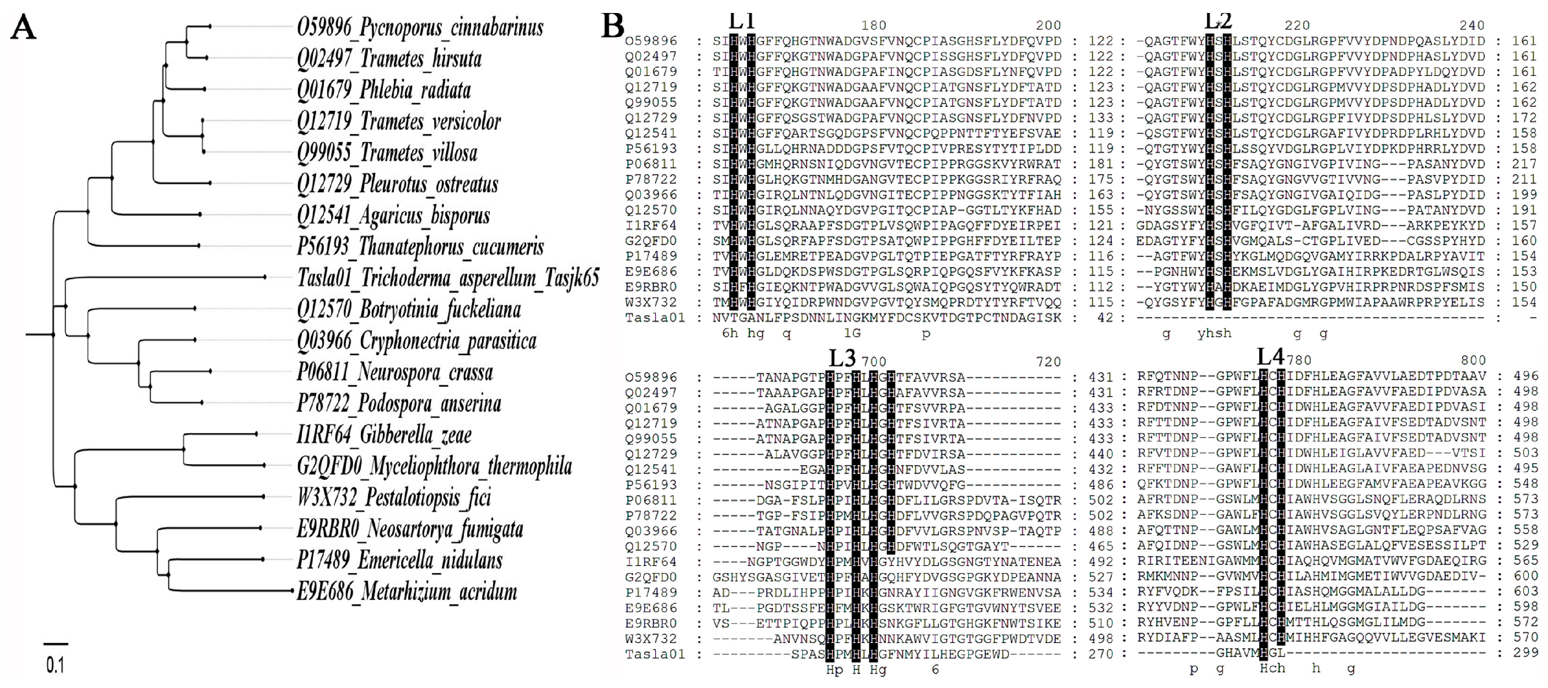 Biology 14 00691 g005