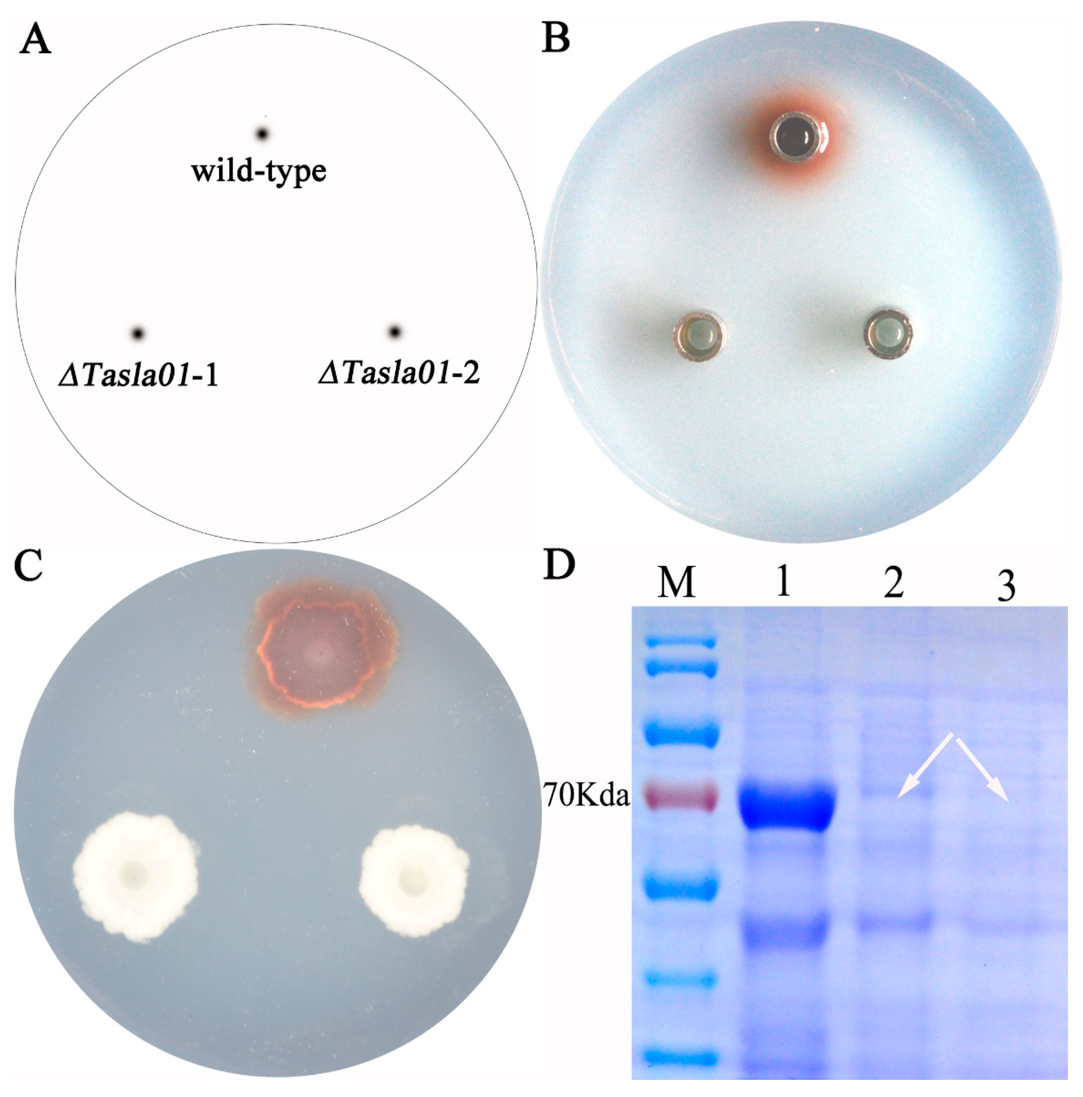 Biology 14 00691 g007