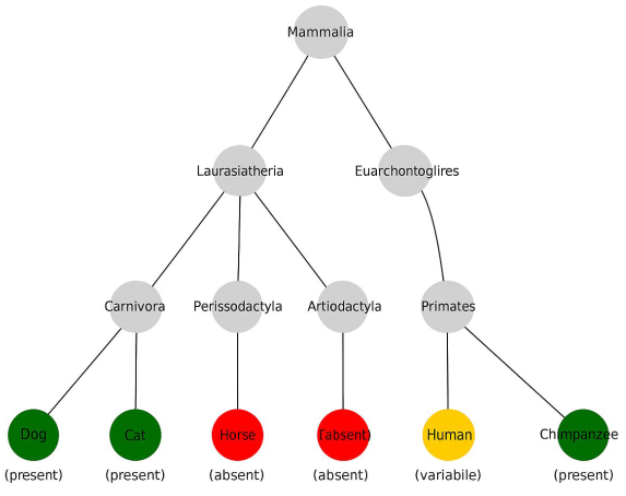 Biology 14 00696 g001
