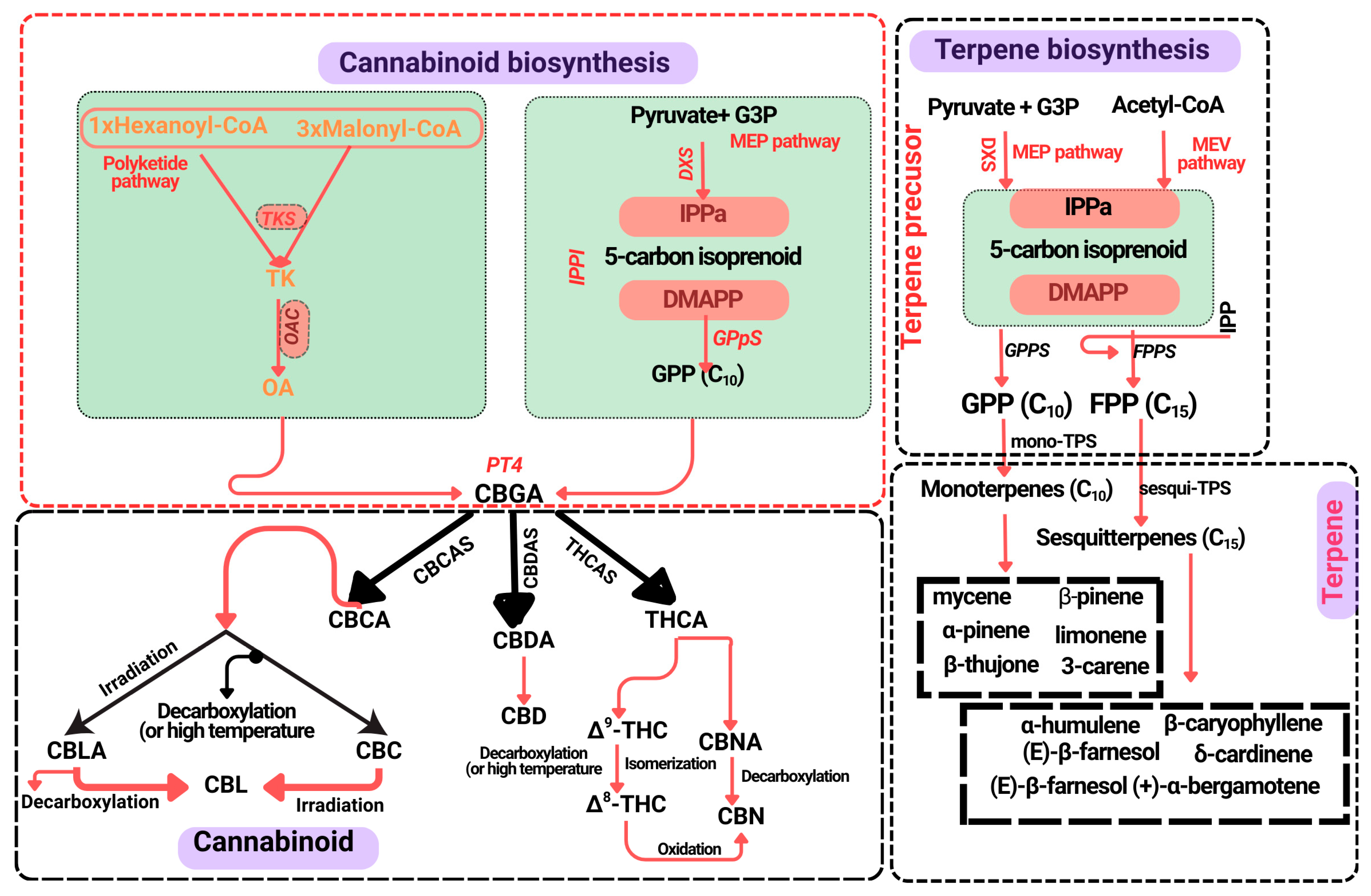 Biology 14 00701 g001
