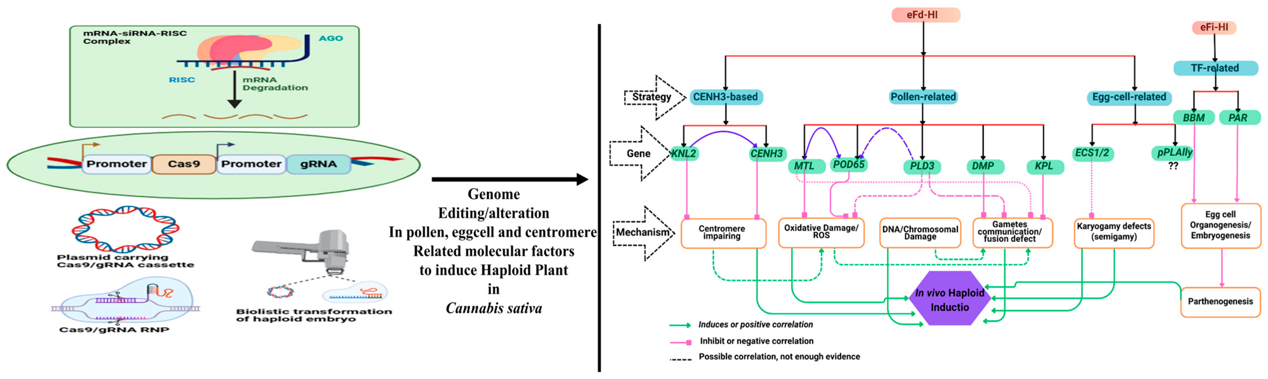 Biology 14 00701 g004