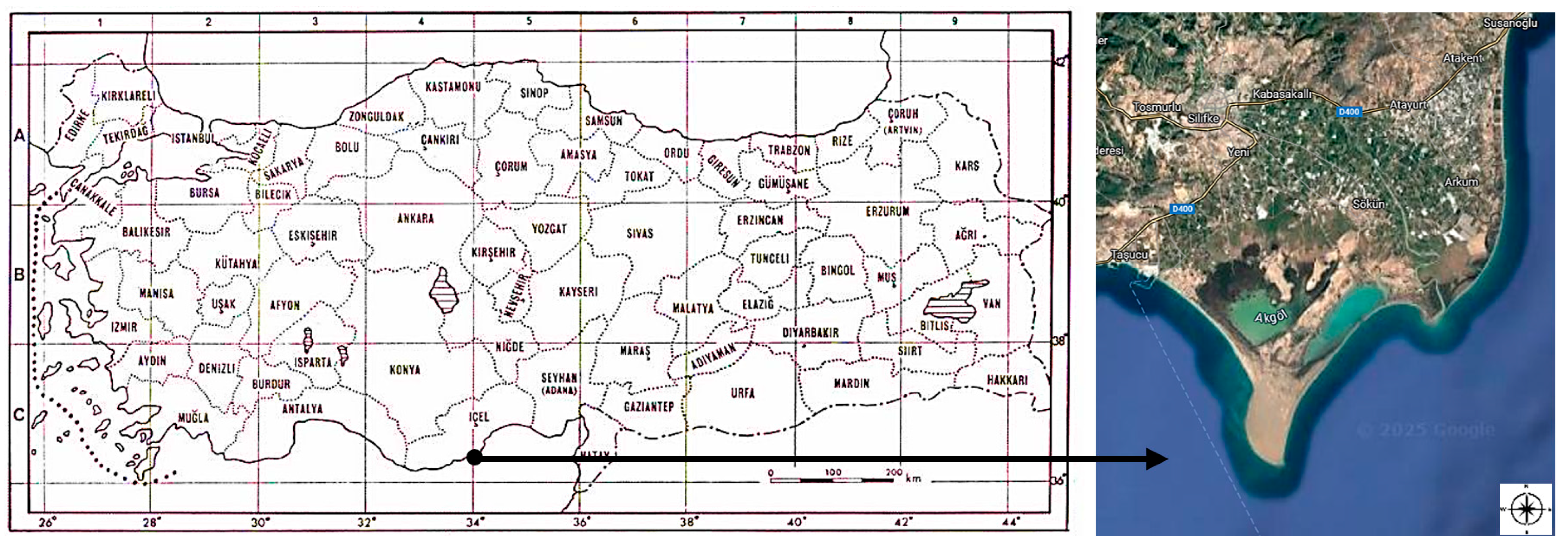 Biology 14 00710 g001