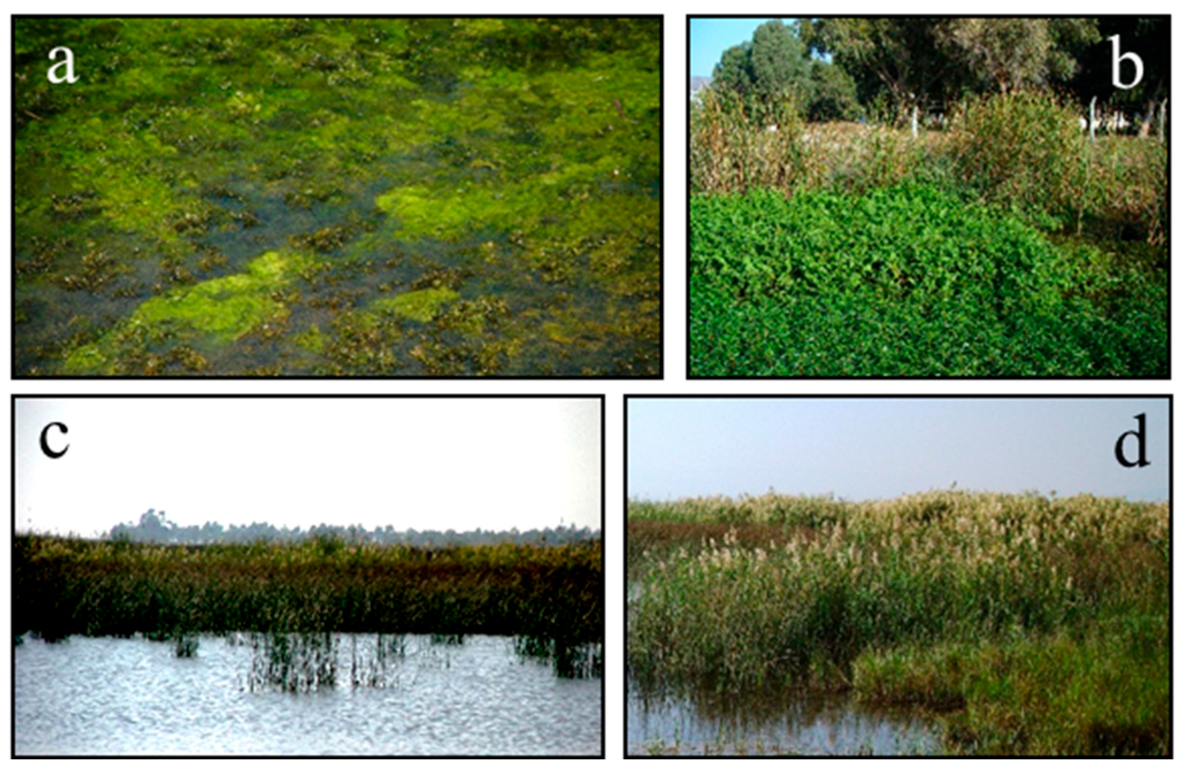 Biology 14 00710 g002