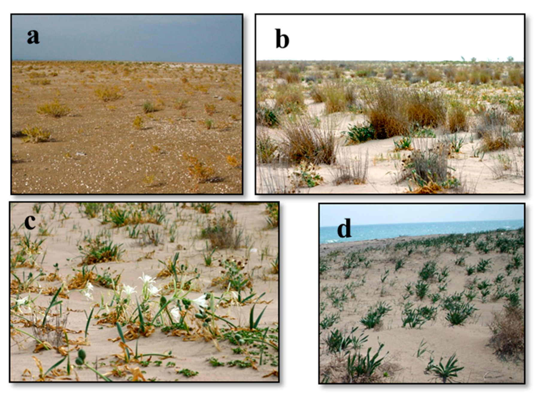 Biology 14 00710 g003