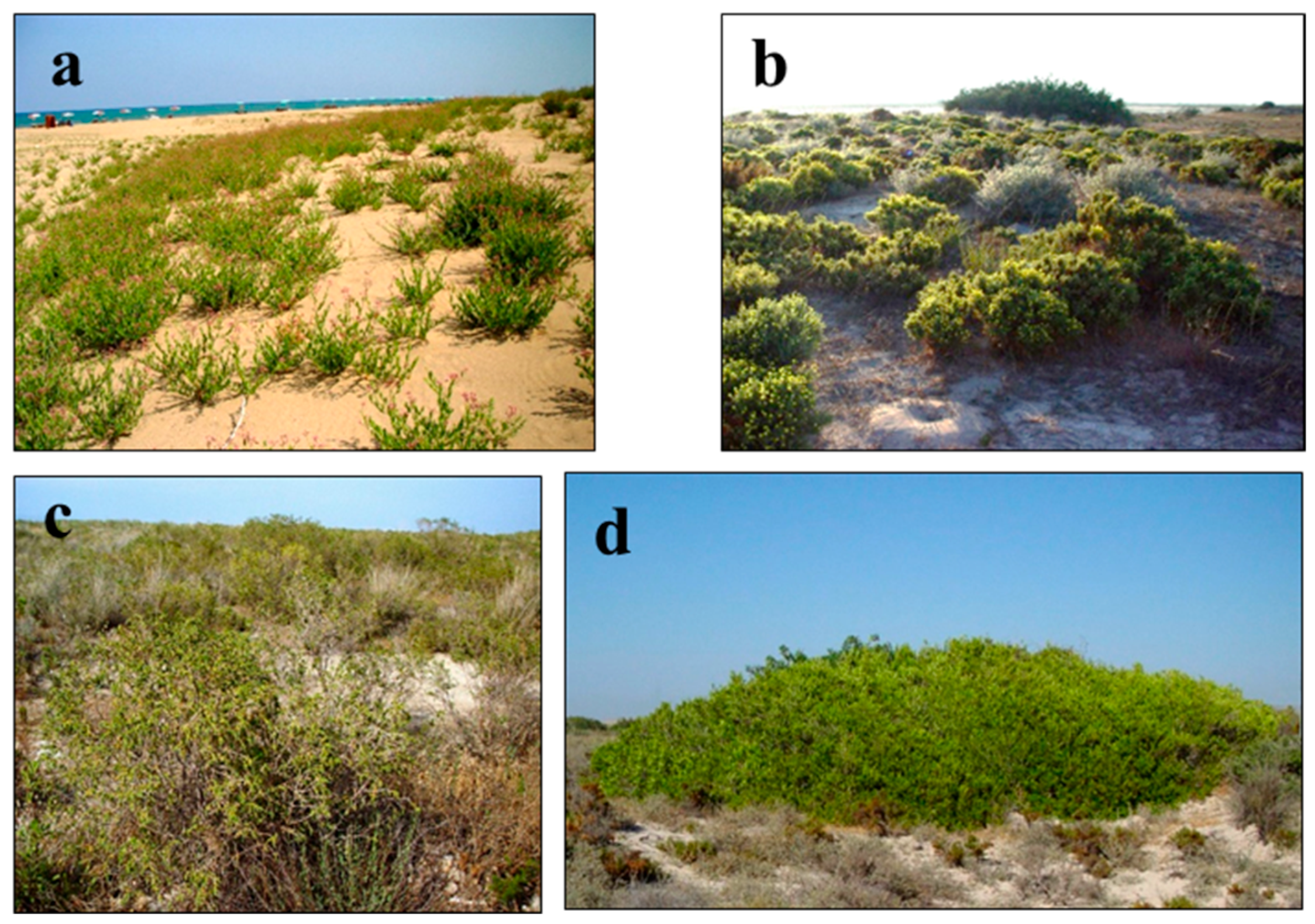 Biology 14 00710 g004