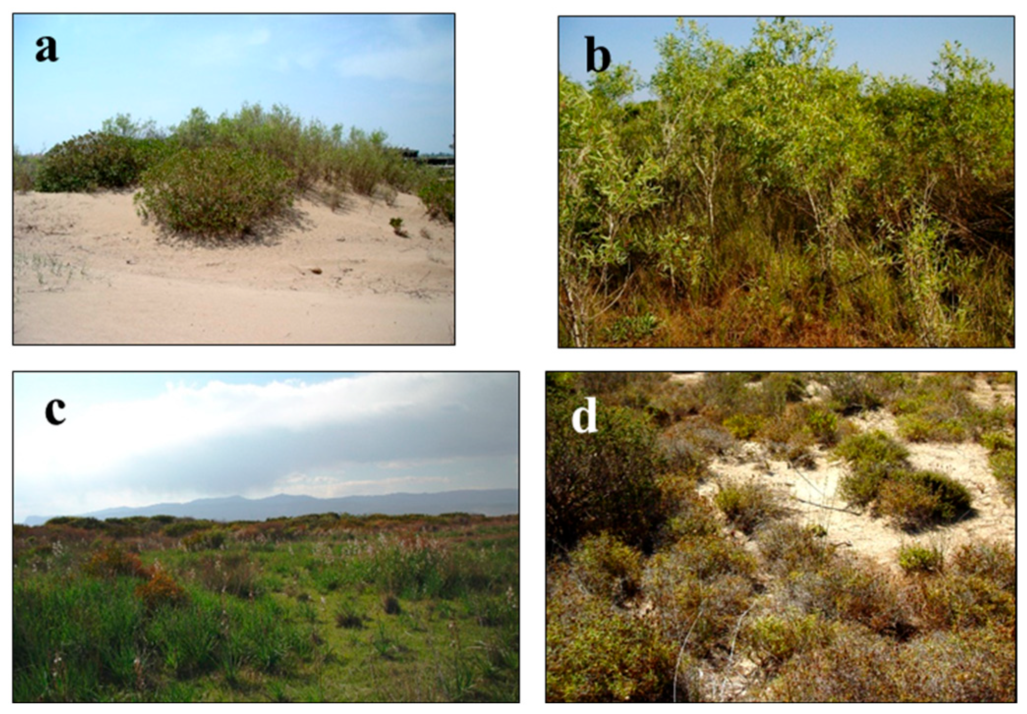 Biology 14 00710 g005
