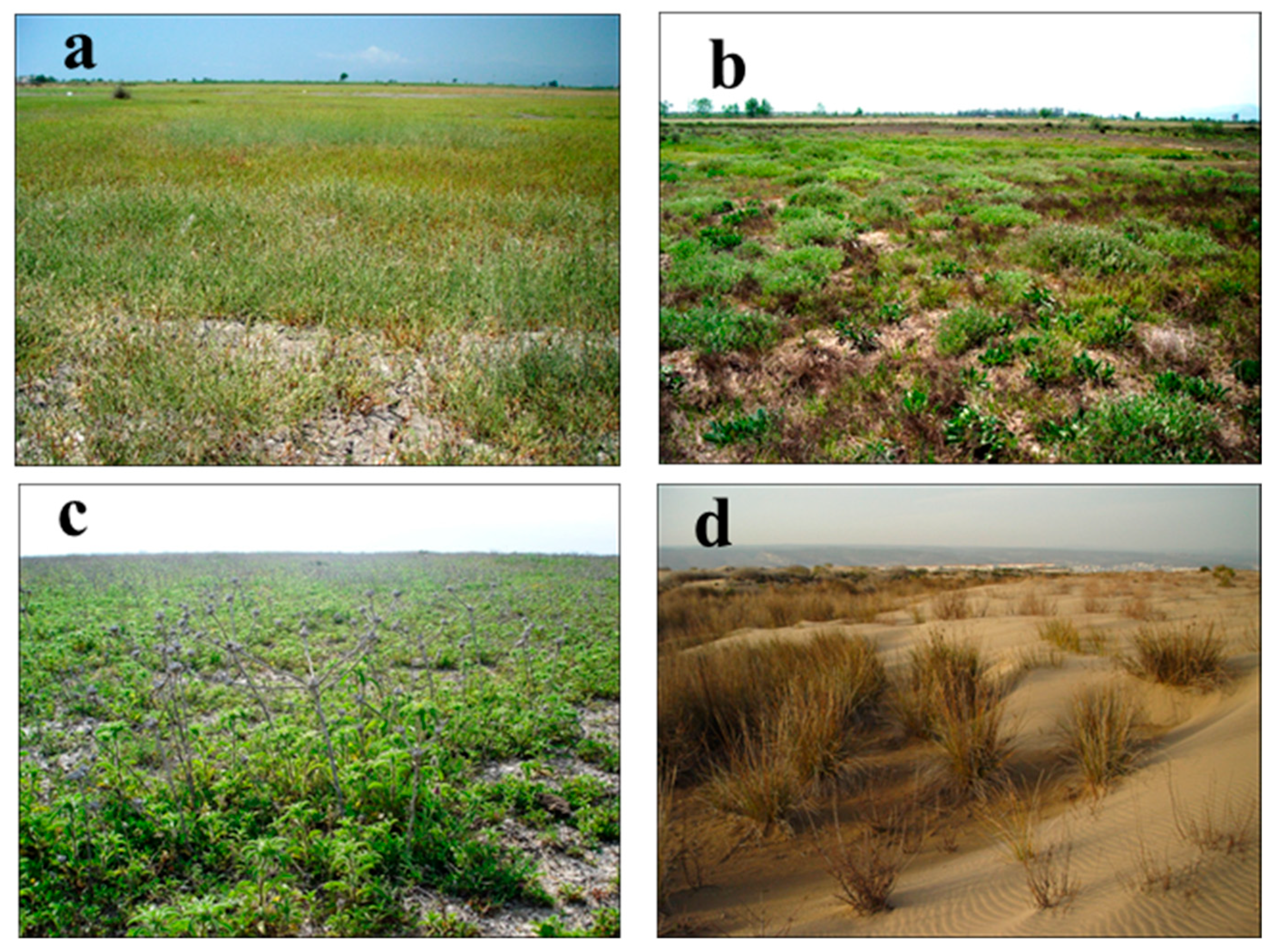 Biology 14 00710 g006
