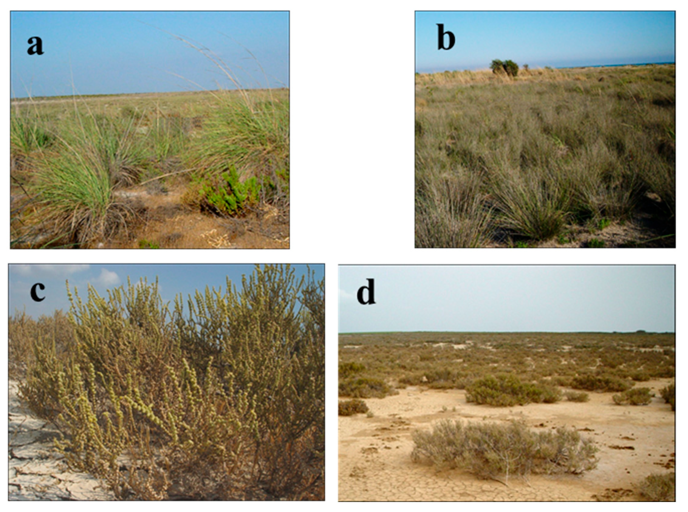 Biology 14 00710 g008