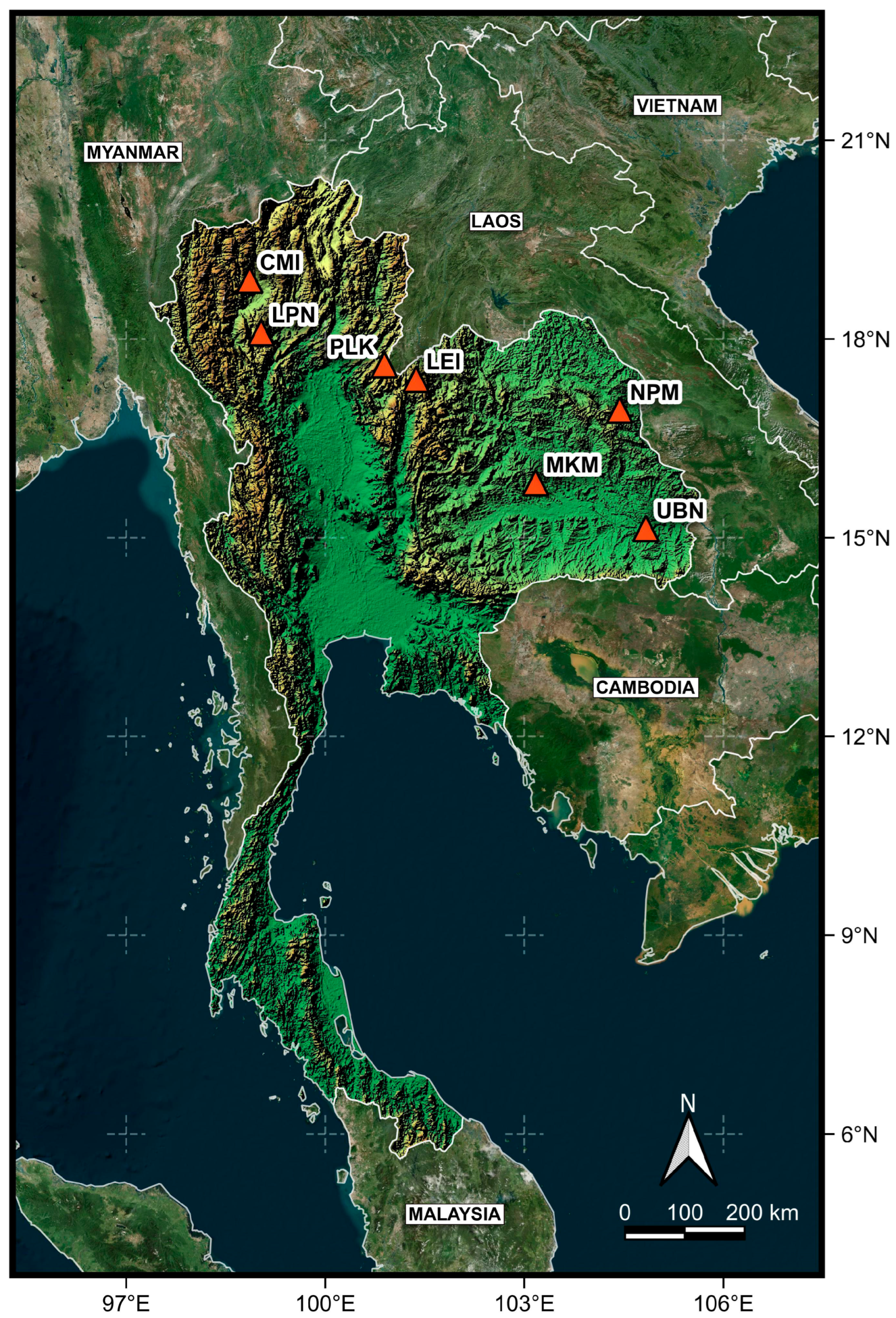 Biology 14 00725 g001