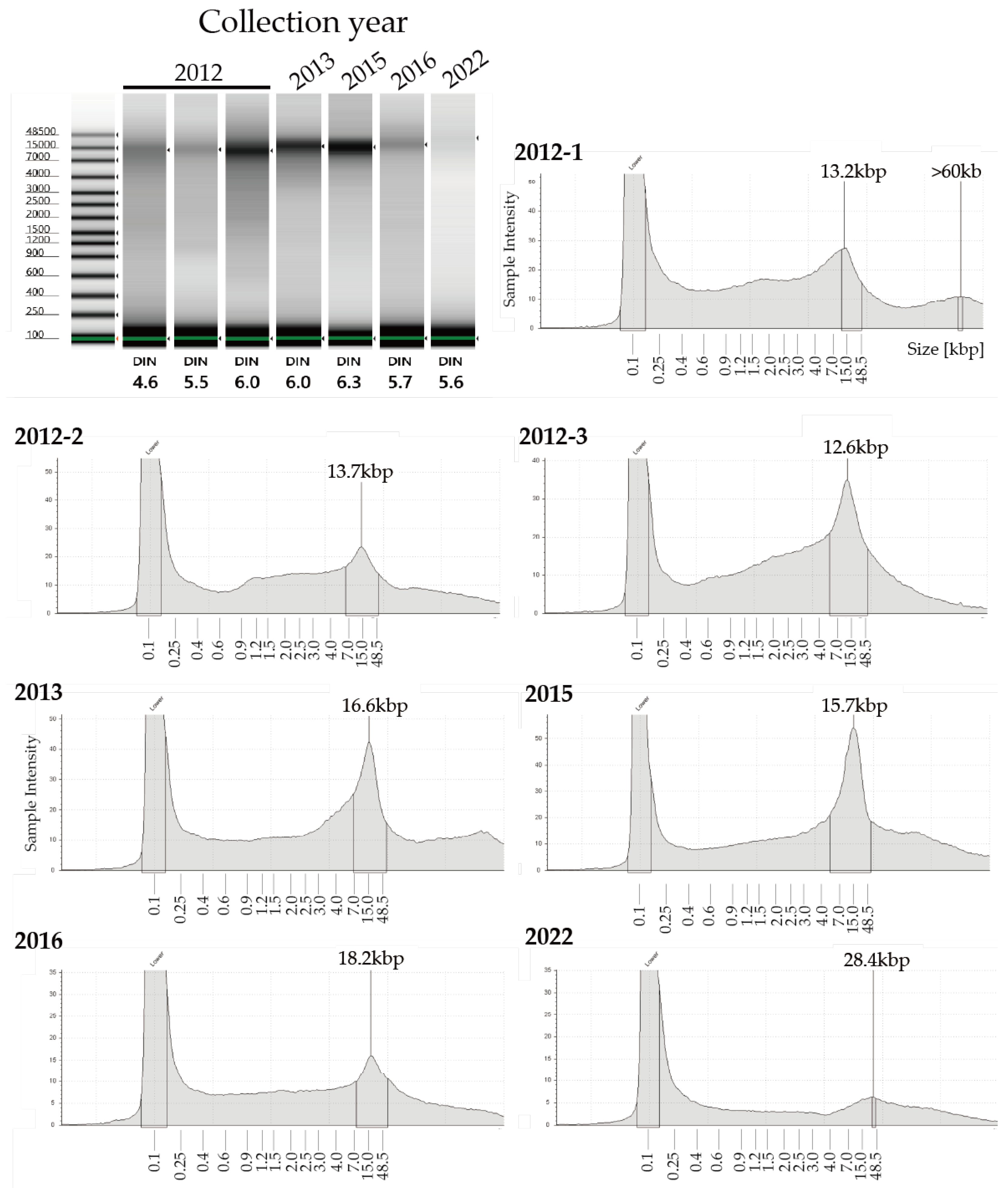 Biology 14 00730 g006 Biology 14 00730 g006