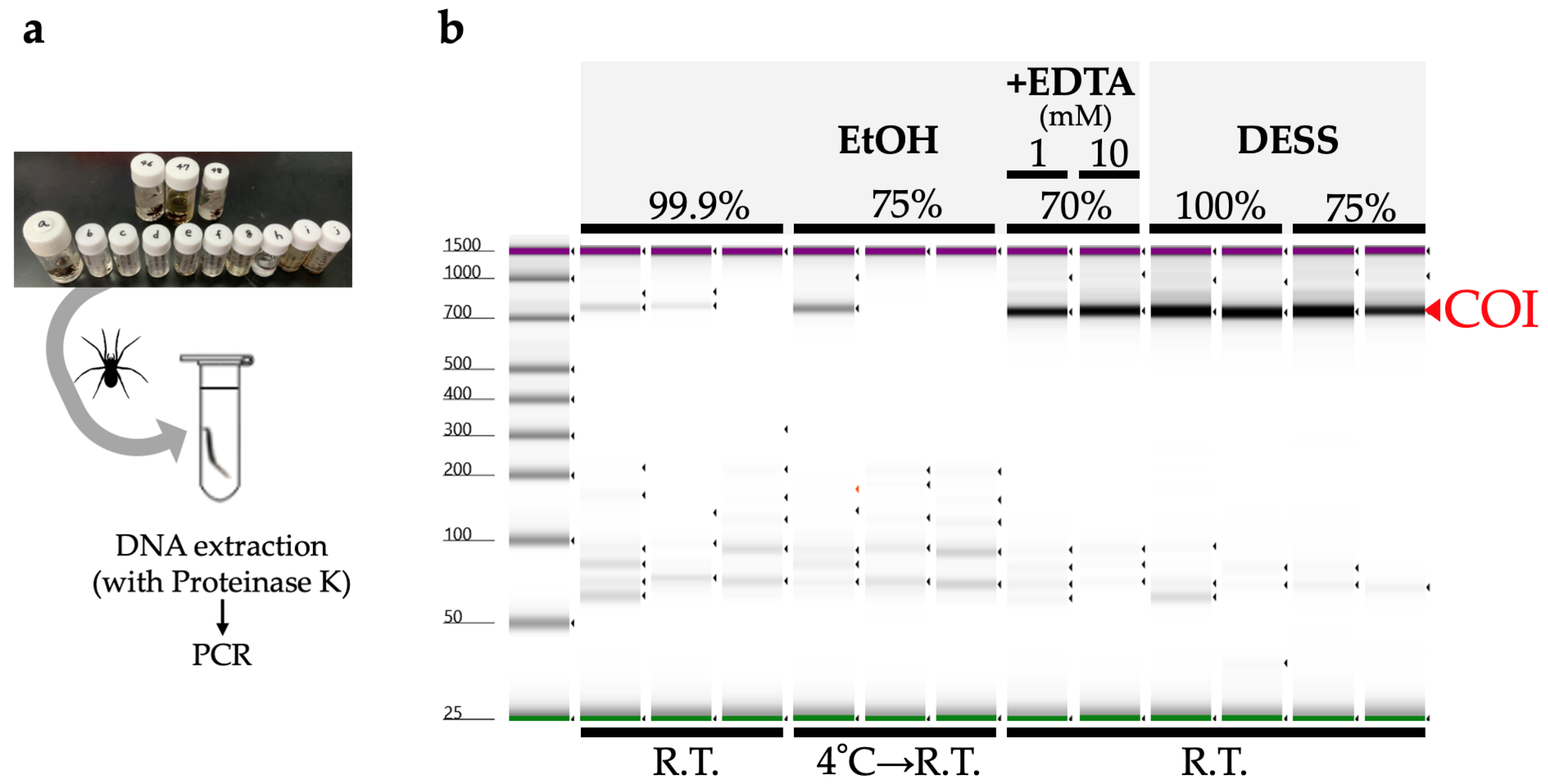 Biology 14 00730 g008 Biology 14 00730 g008