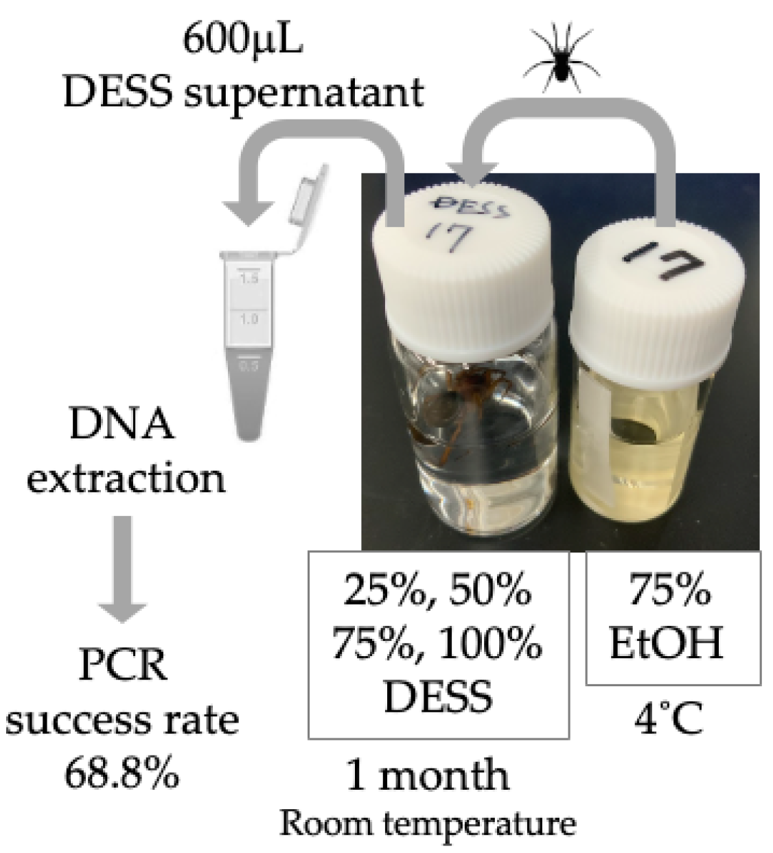 Biology 14 00730 g009 Biology 14 00730 g009