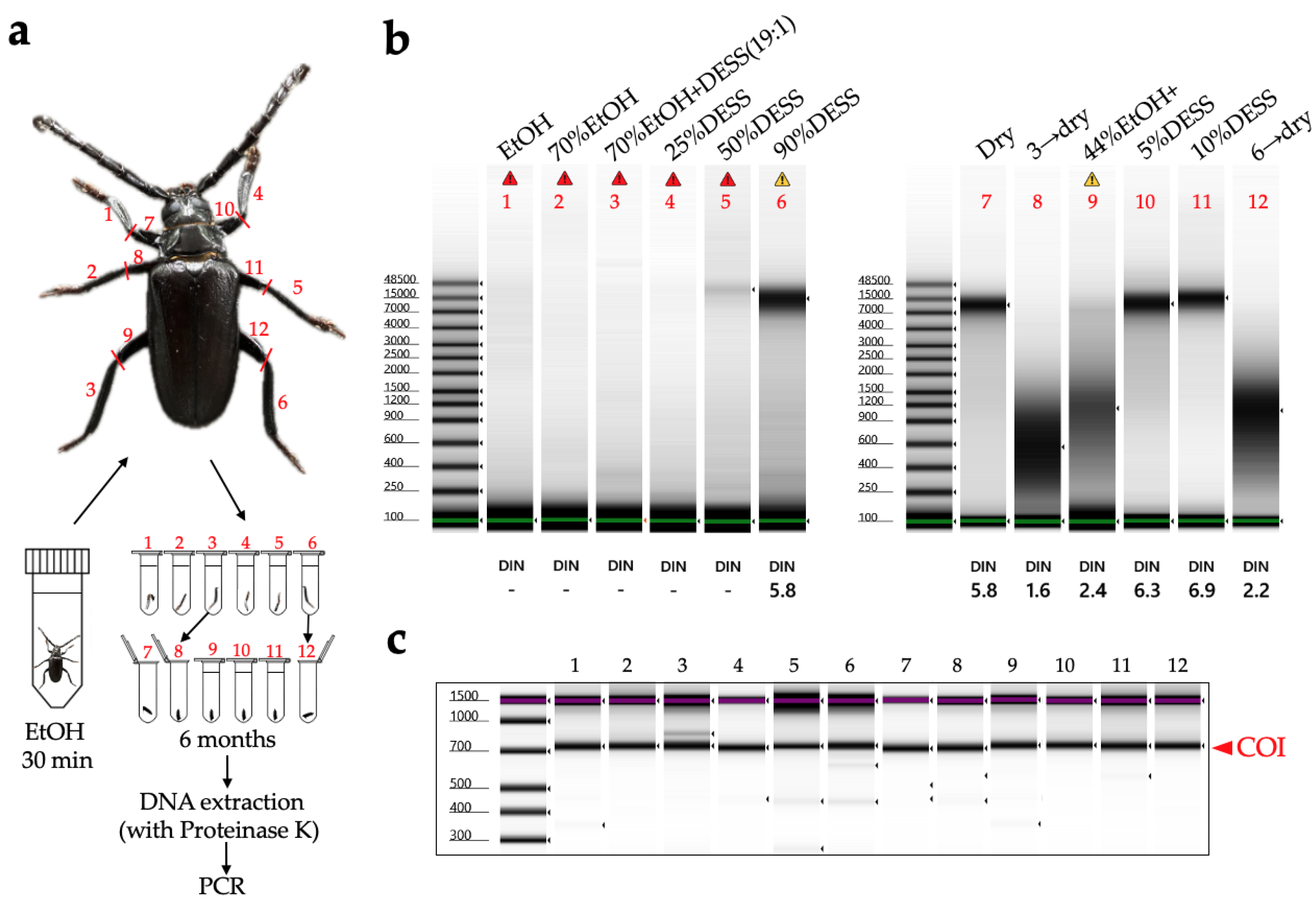 Biology 14 00730 g010 Biology 14 00730 g010