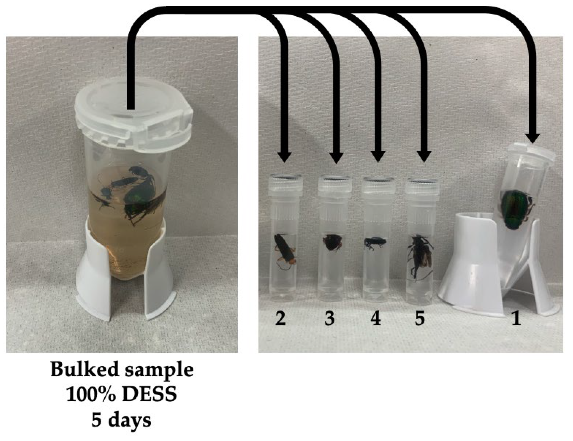 Biology 14 00730 g011 Biology 14 00730 g011