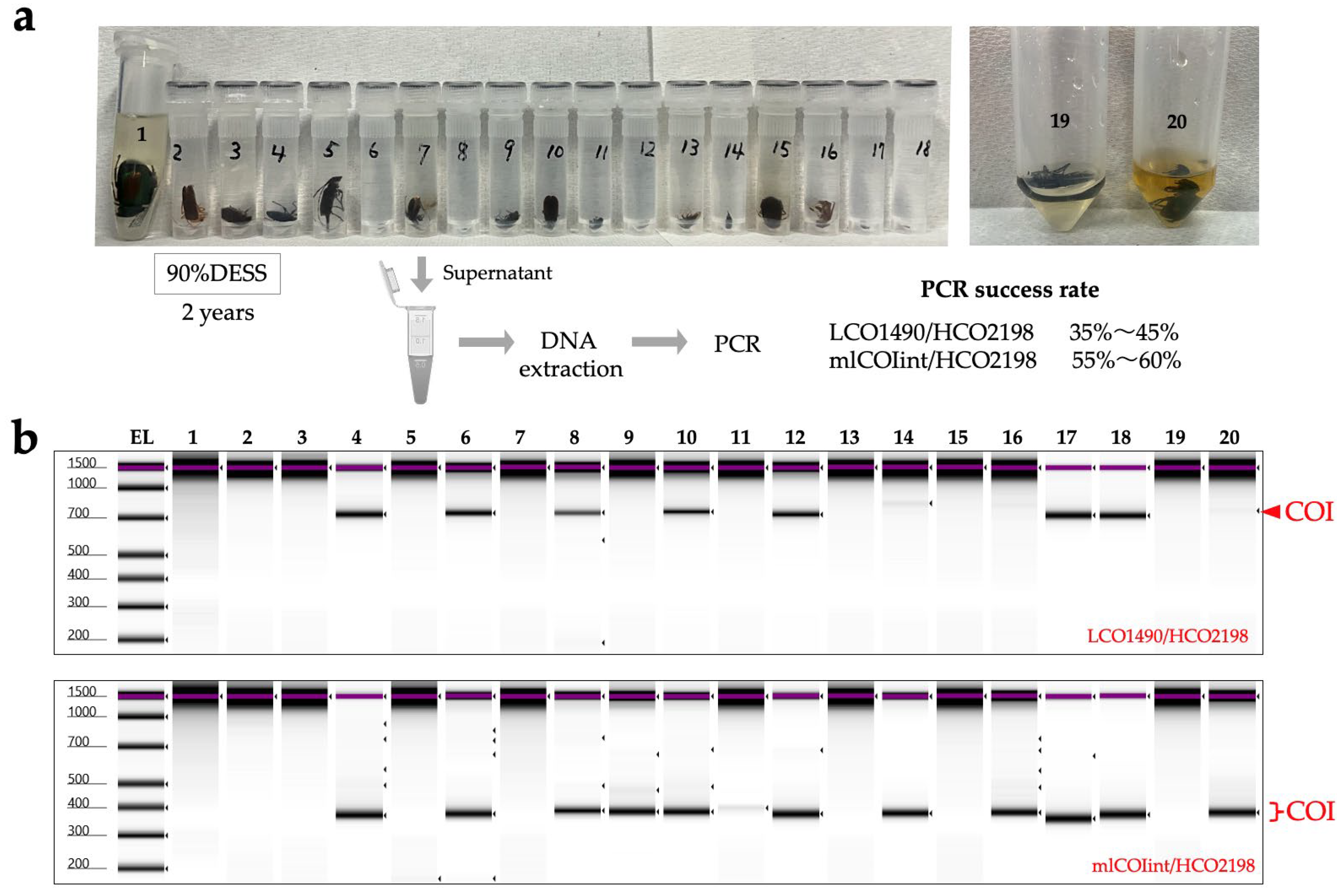 Biology 14 00730 g012 Biology 14 00730 g012