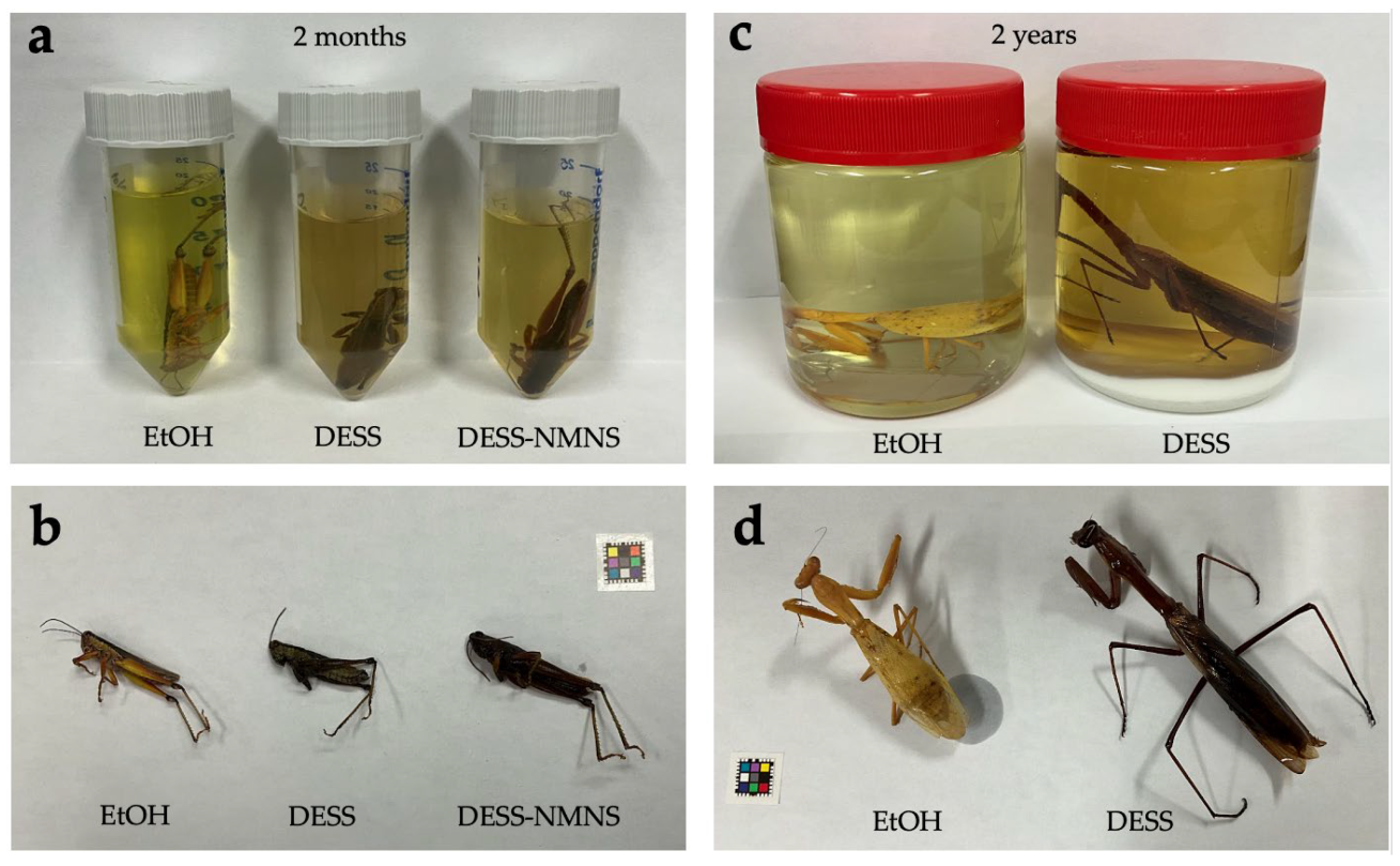 Biology 14 00730 g013 Biology 14 00730 g013