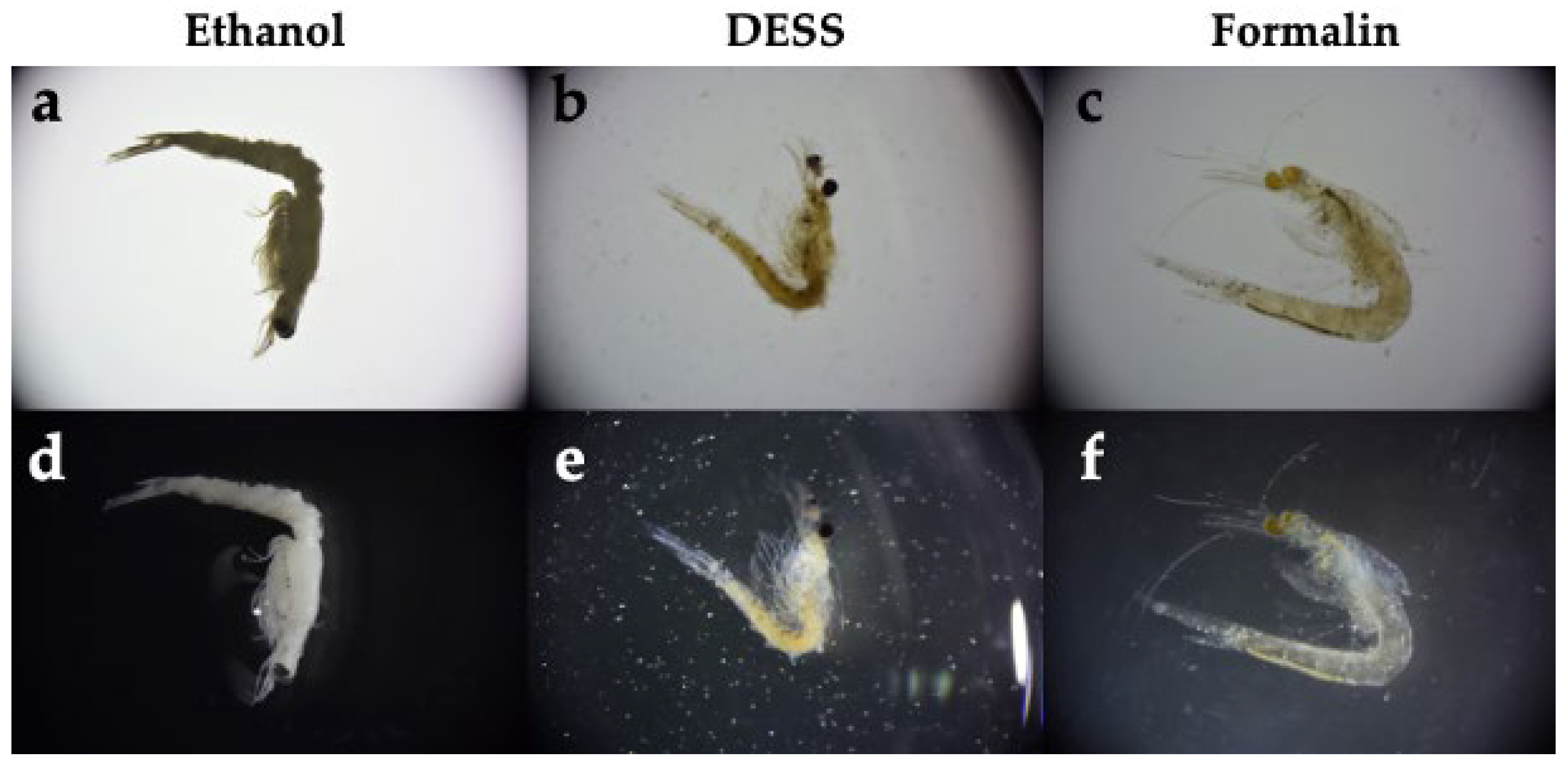 Biology 14 00730 g015 Biology 14 00730 g015