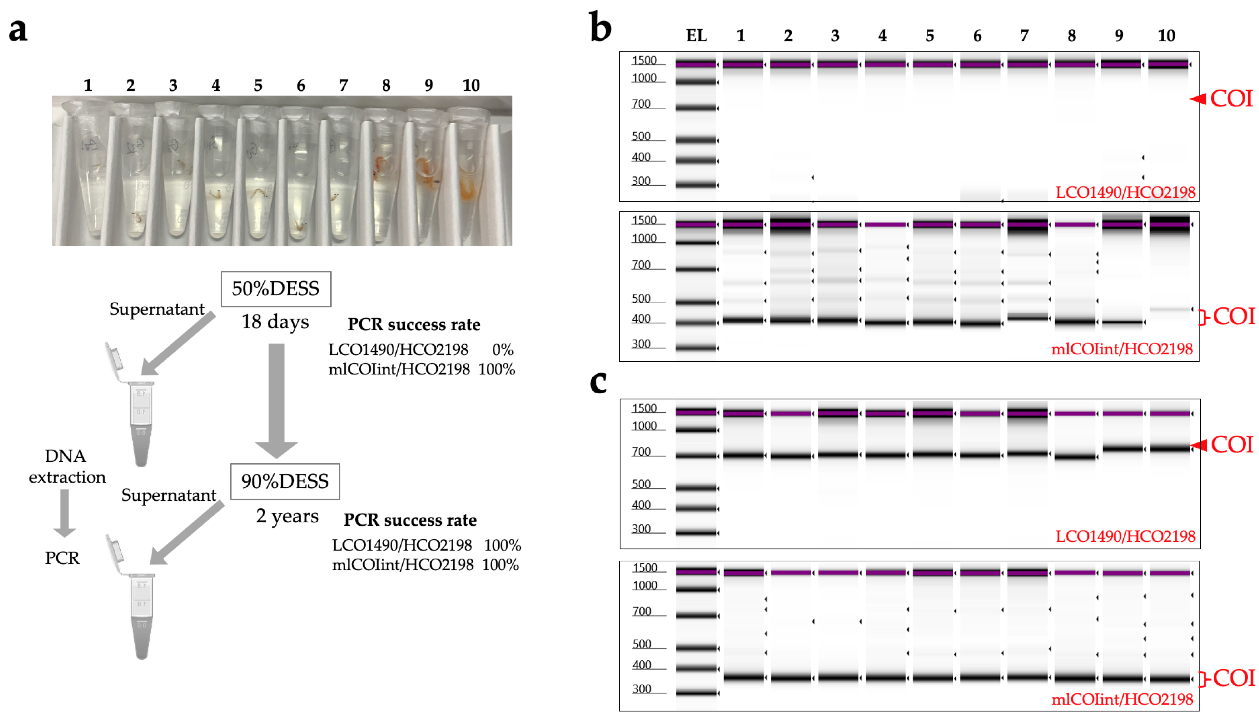 Biology 14 00730 g016 Biology 14 00730 g016