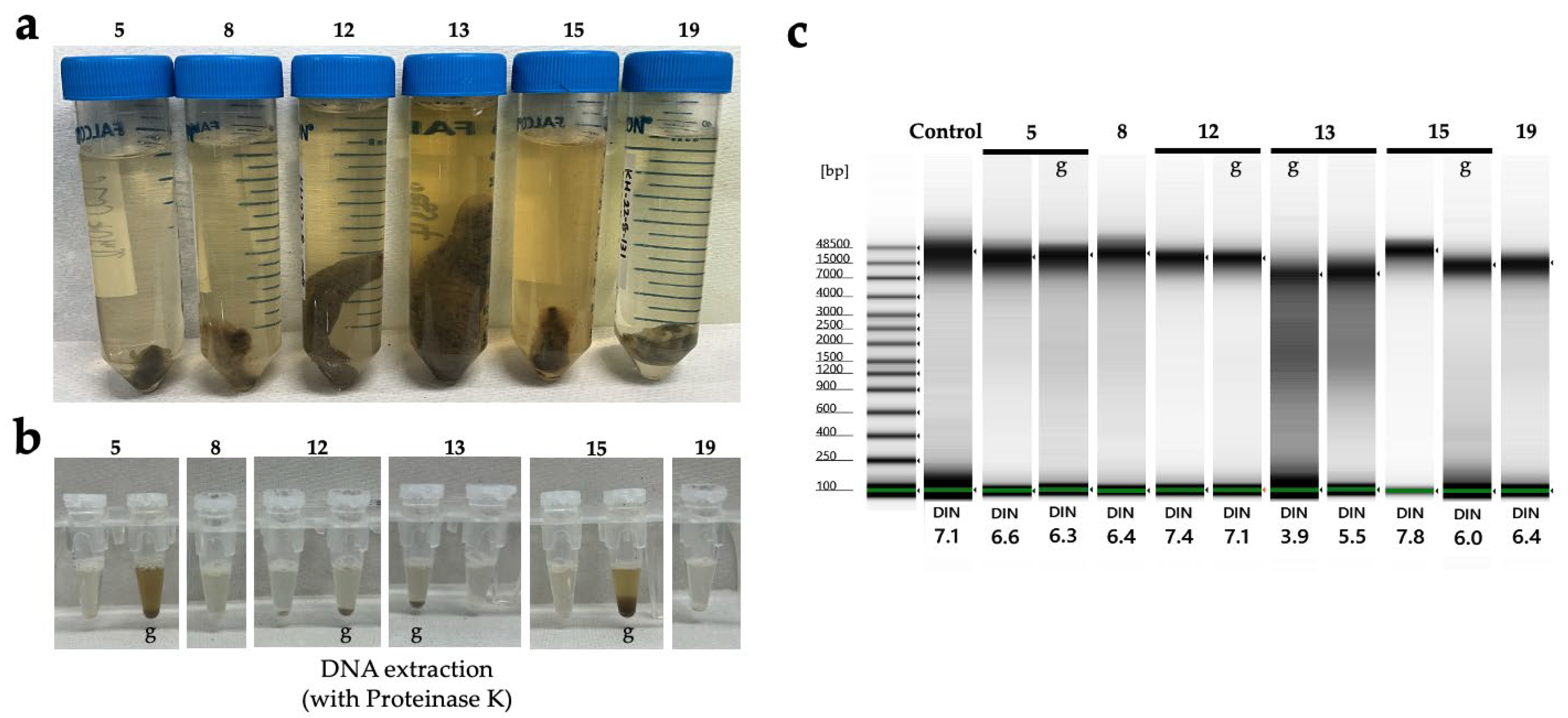 Biology 14 00730 g018 Biology 14 00730 g018