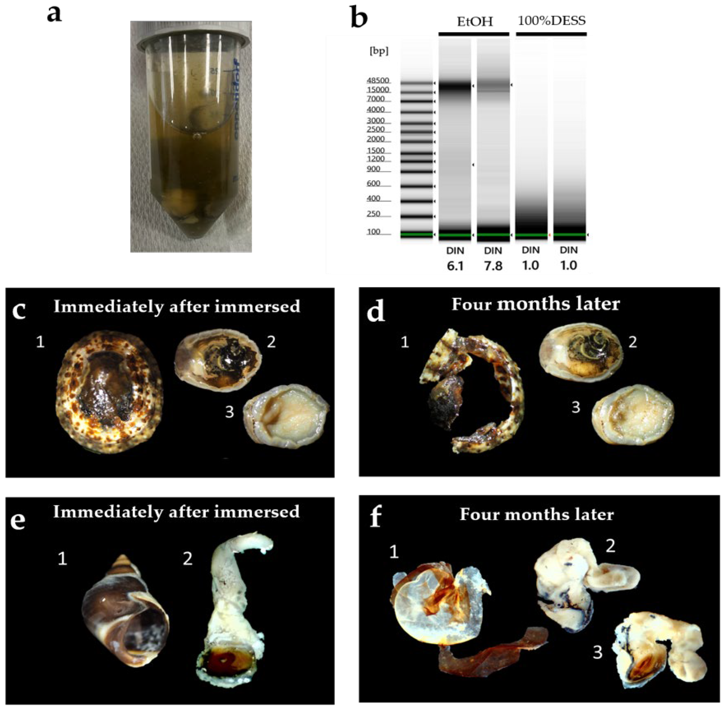 Biology 14 00730 g019 Biology 14 00730 g019