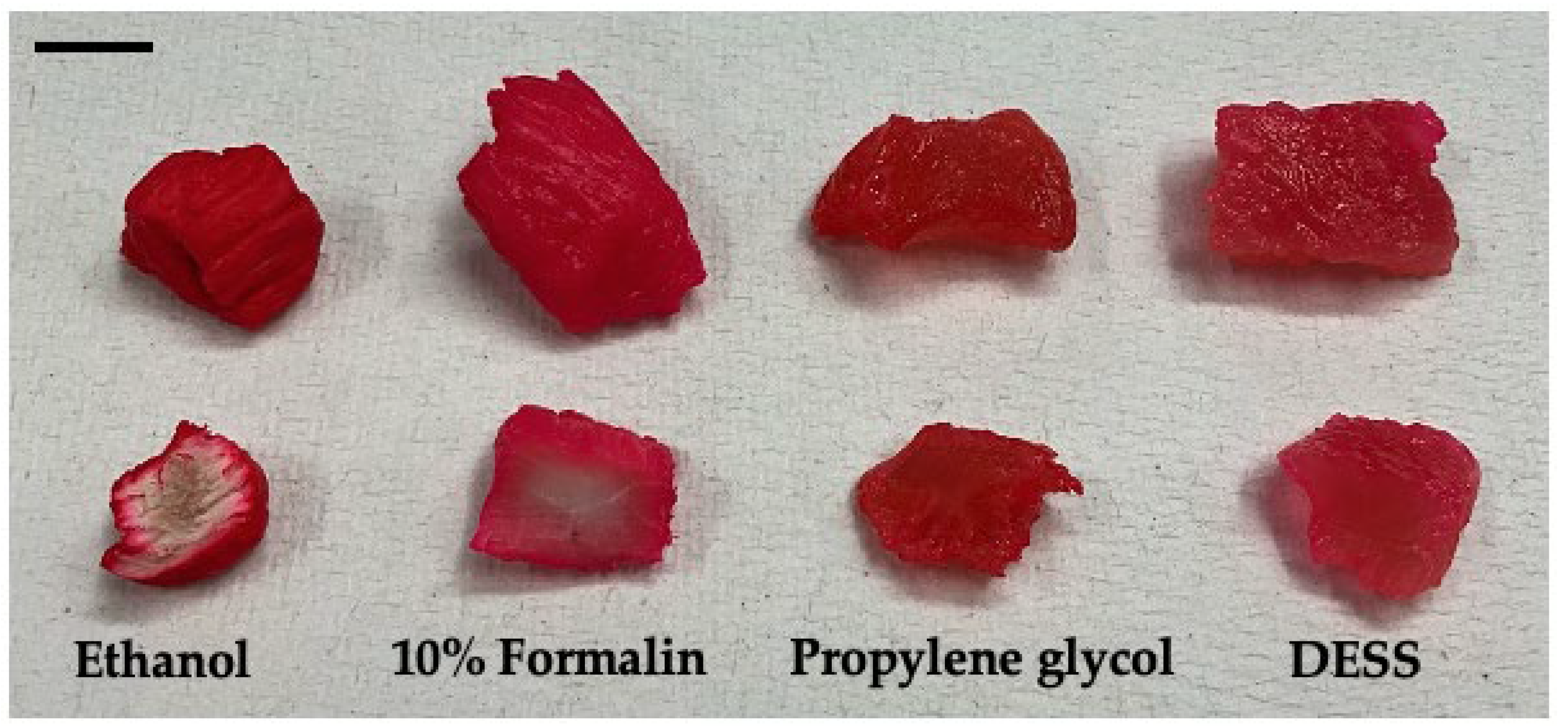 Biology 14 00730 g021 Biology 14 00730 g021