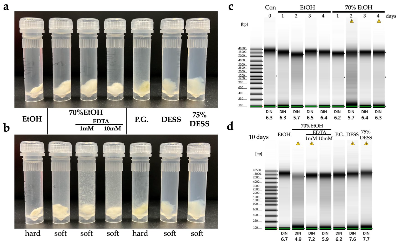 Biology 14 00730 g022 Biology 14 00730 g022