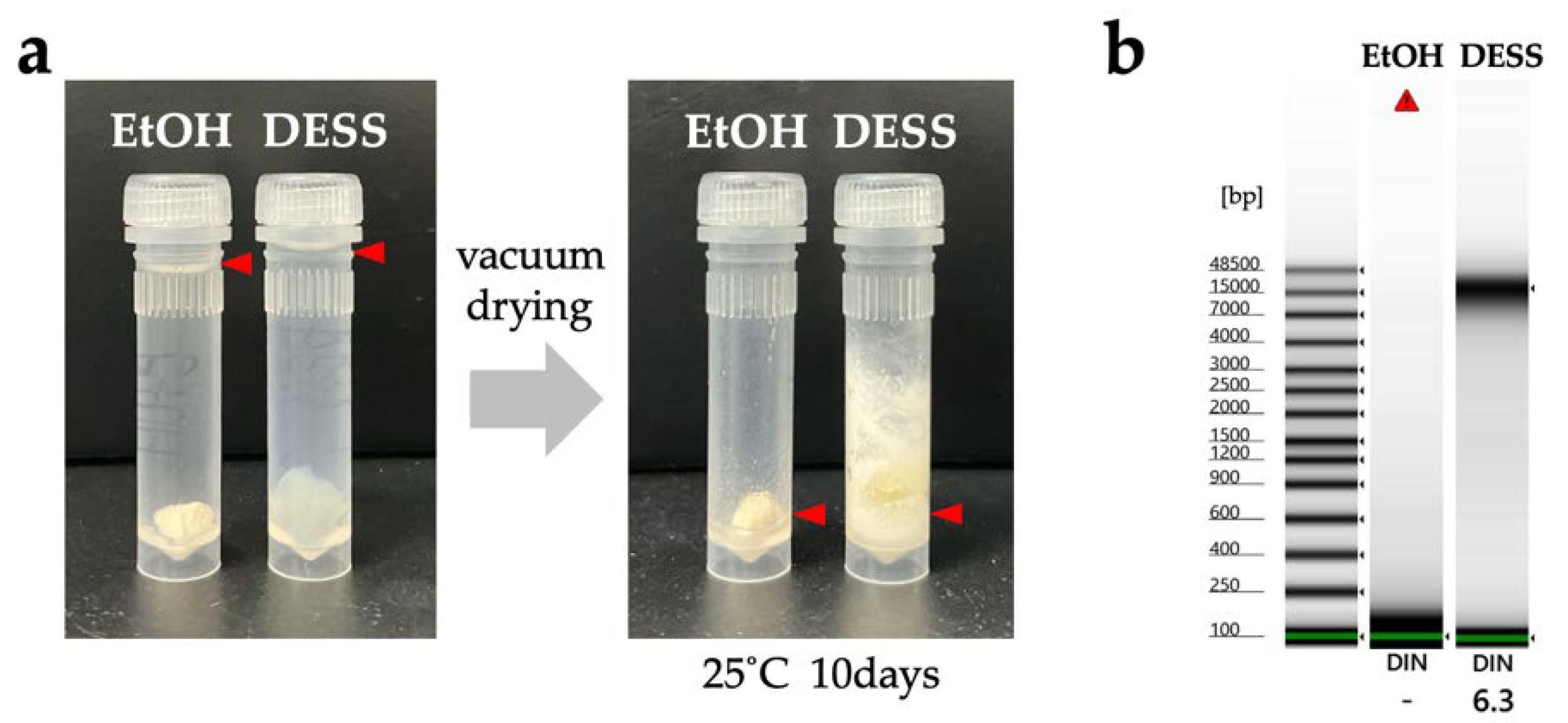 Biology 14 00730 g023 Biology 14 00730 g023