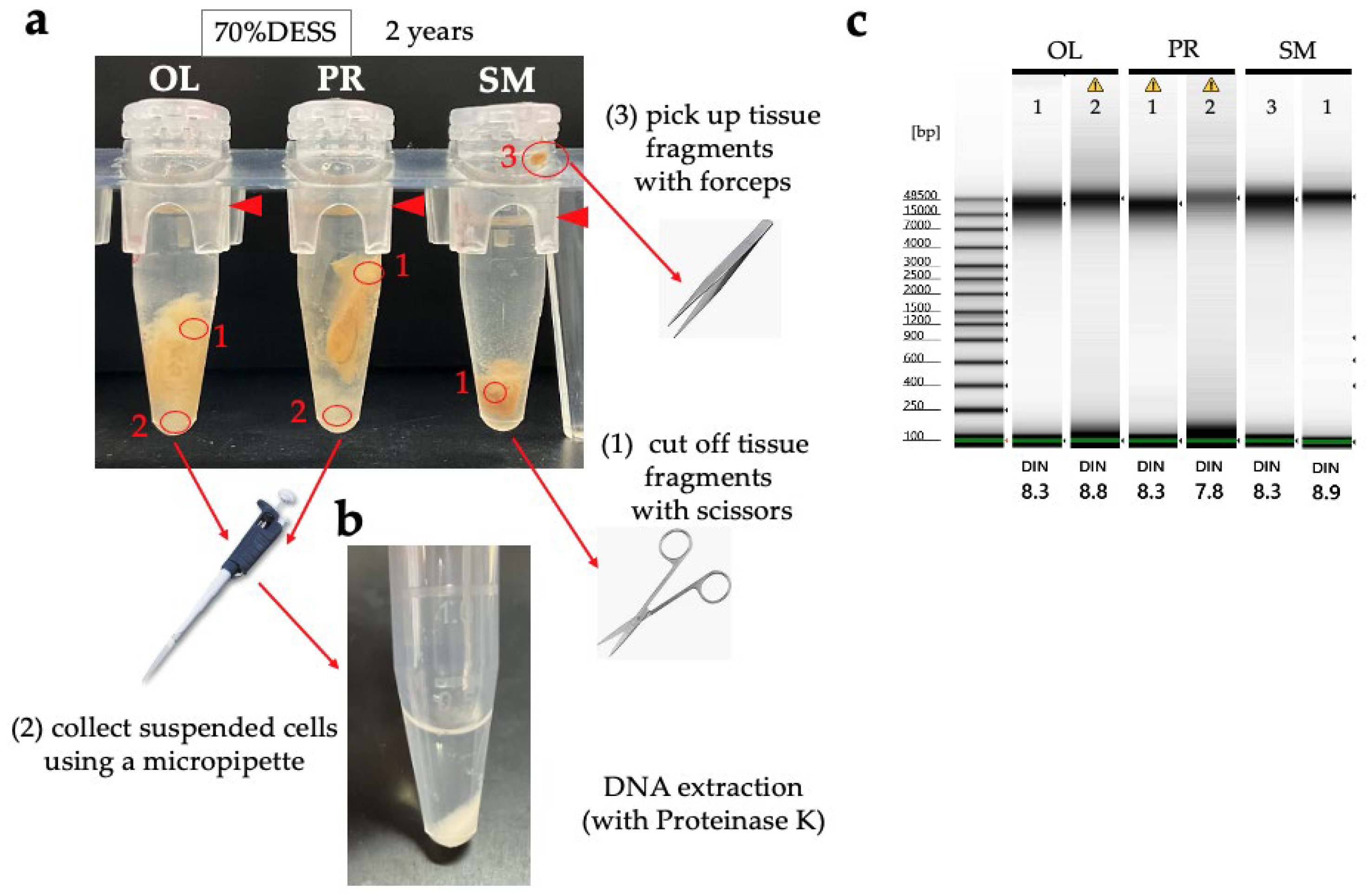 Biology 14 00730 g024 Biology 14 00730 g024