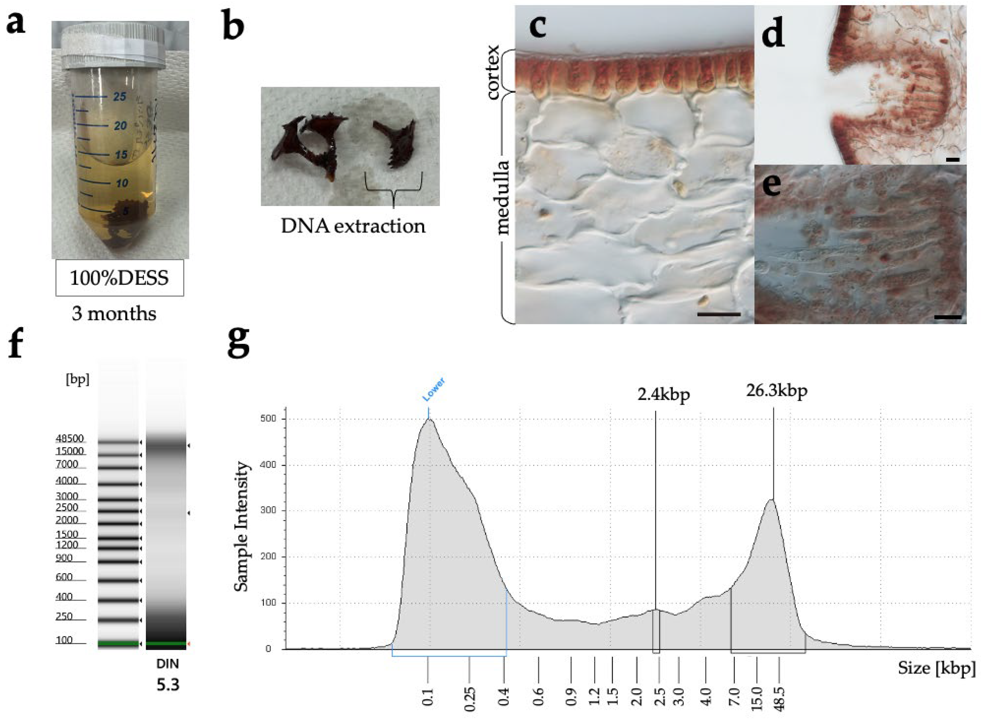 Biology 14 00730 g026 Biology 14 00730 g026