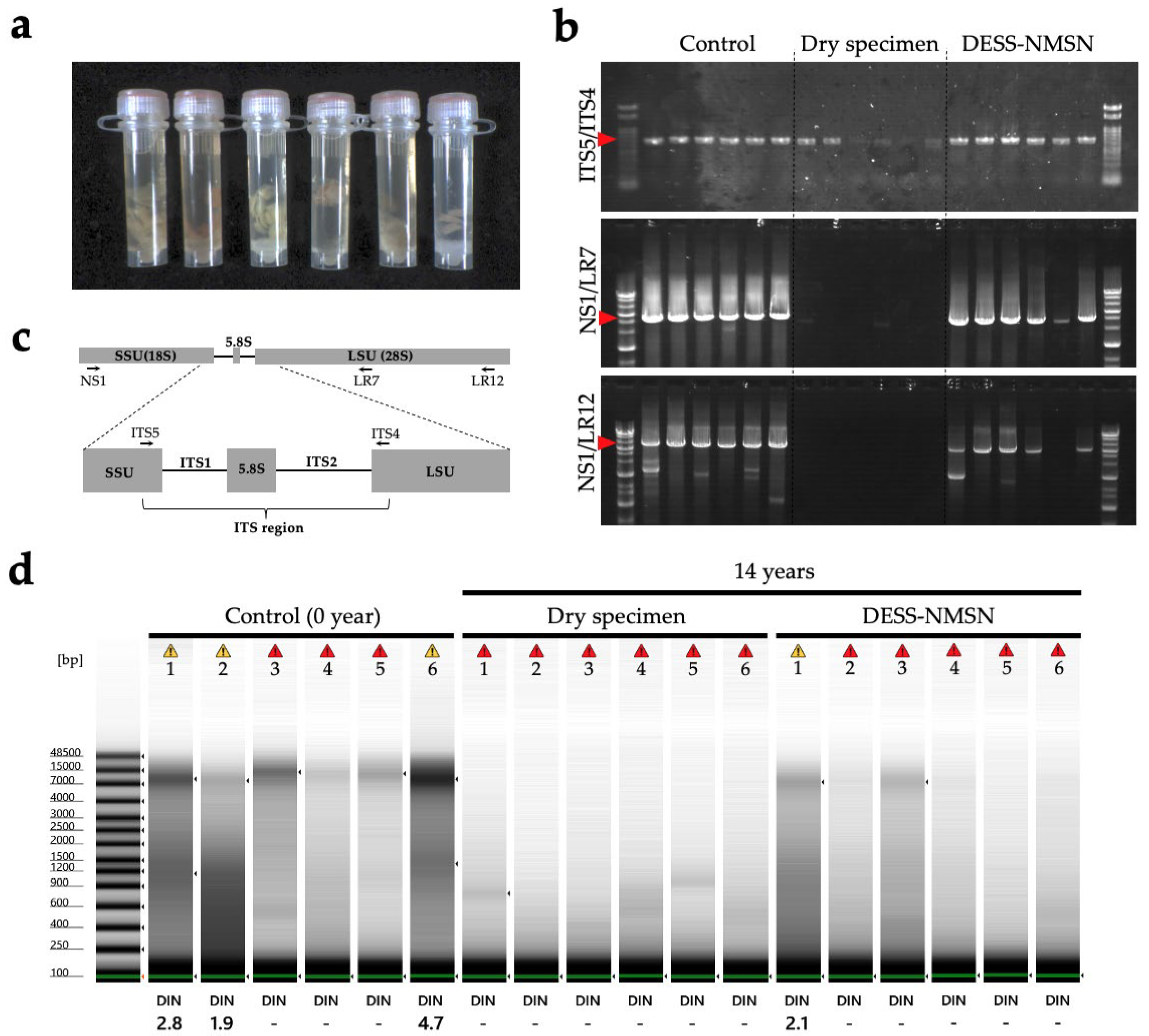 Biology 14 00730 g027 Biology 14 00730 g027