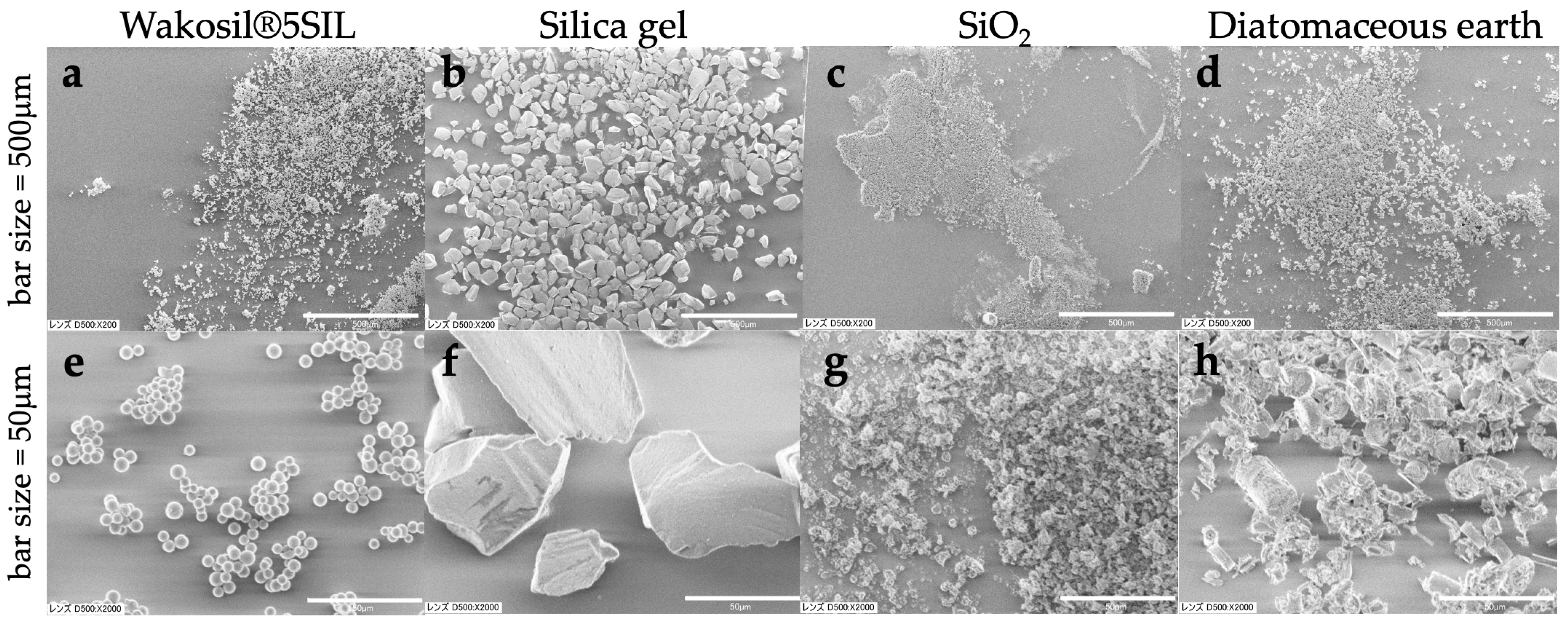 Biology 14 00730 g030 Biology 14 00730 g030