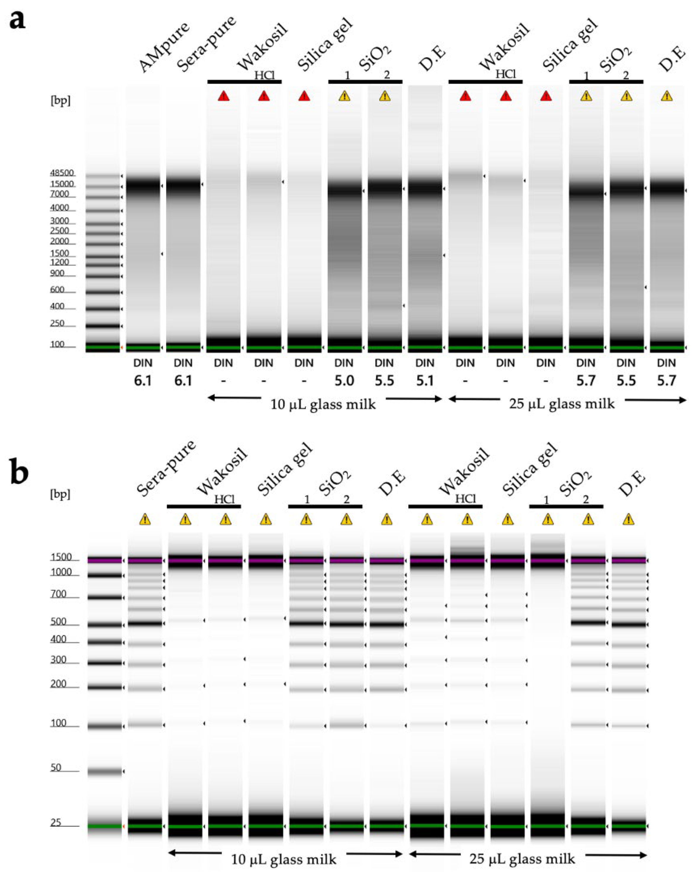 Biology 14 00730 g031 Biology 14 00730 g031