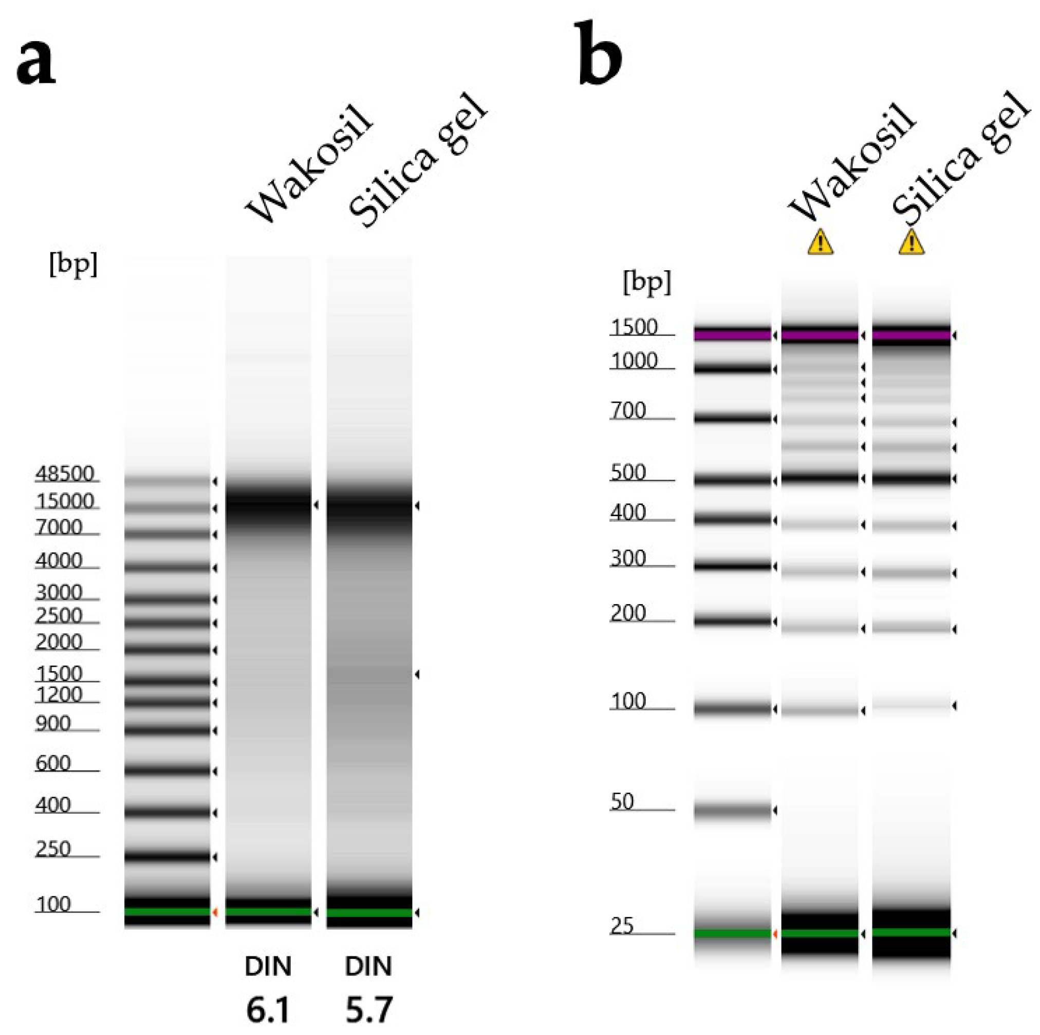 Biology 14 00730 g032 Biology 14 00730 g032
