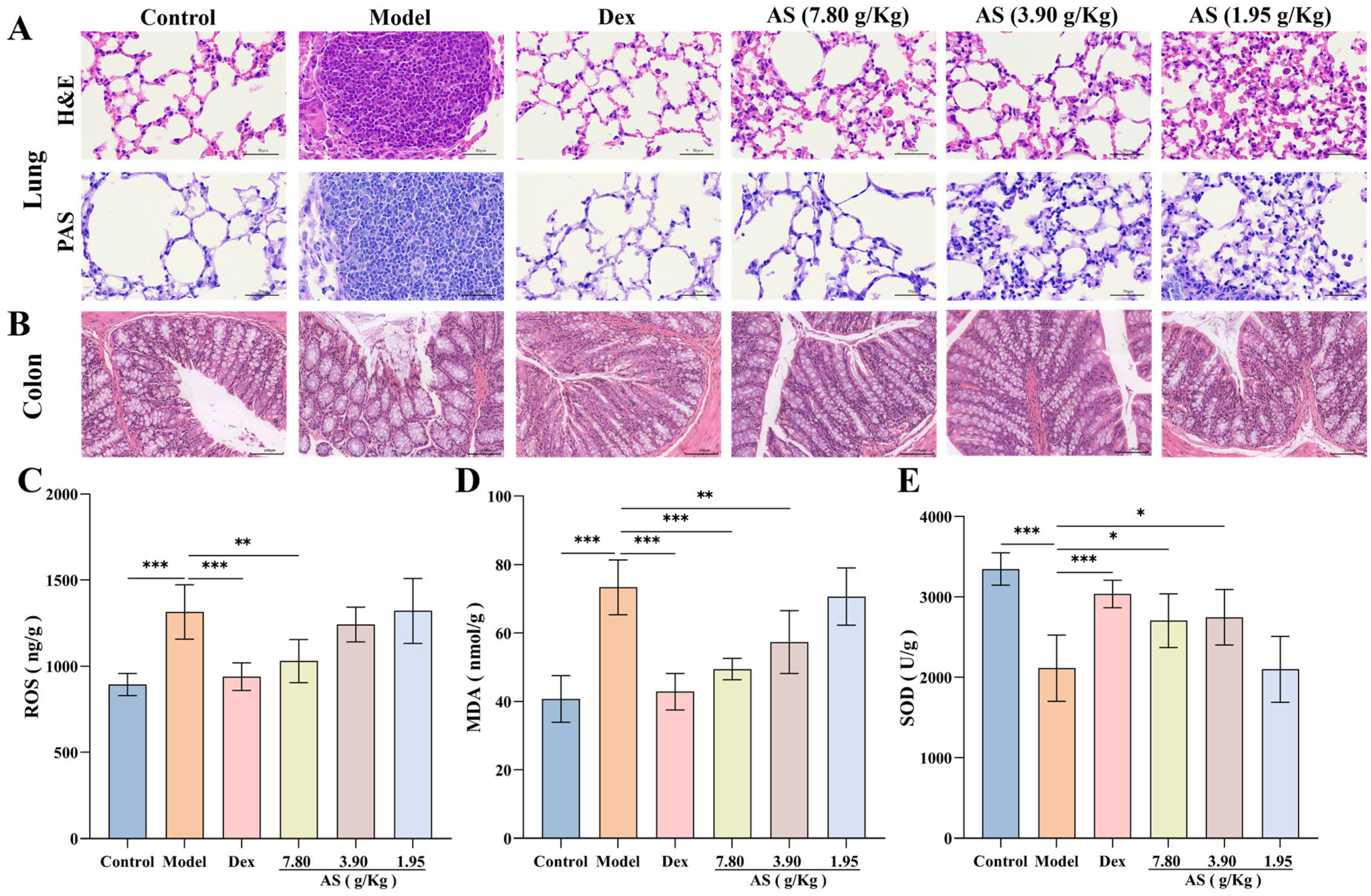 Biology 14 00731 g005