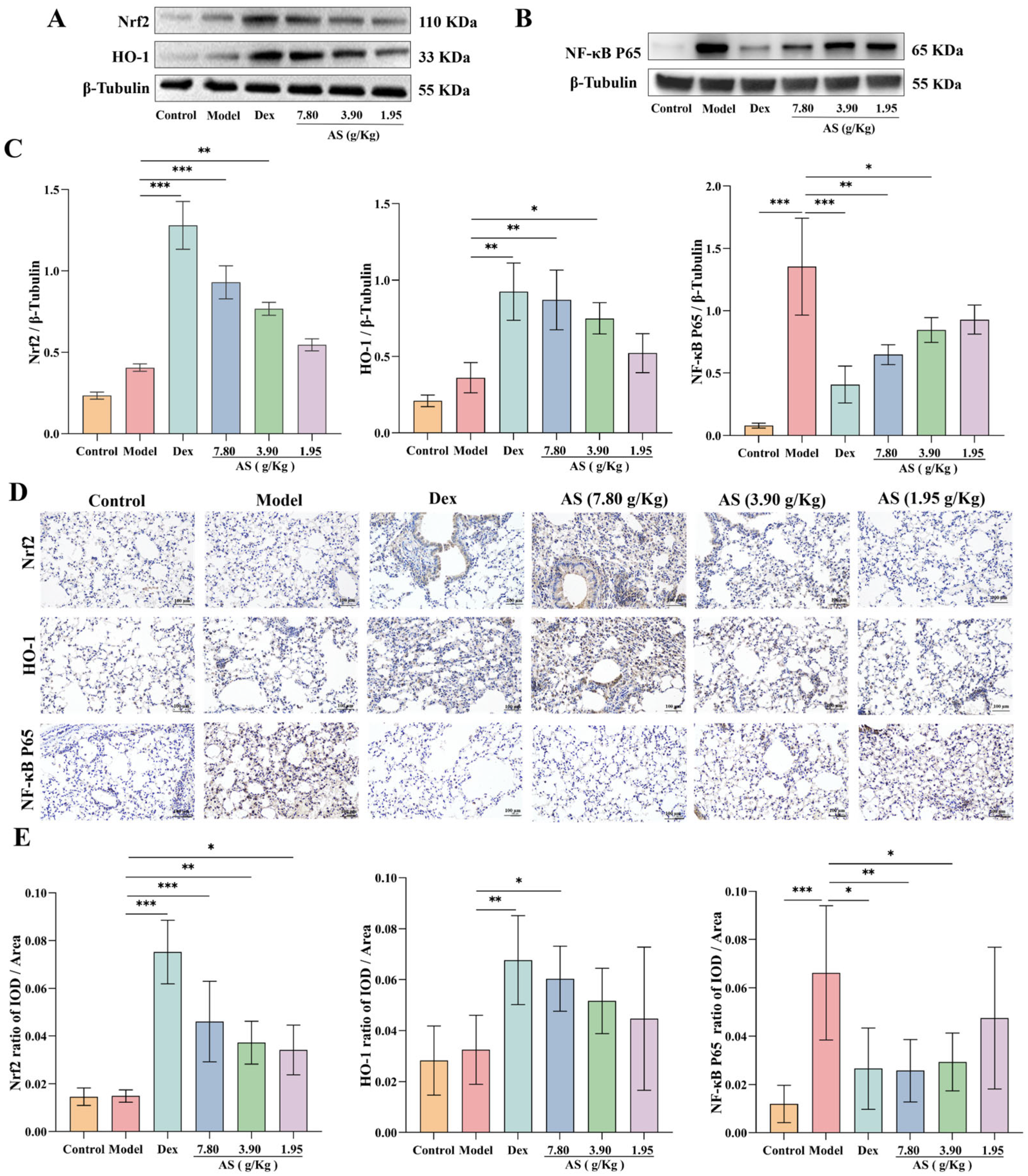 Biology 14 00731 g006