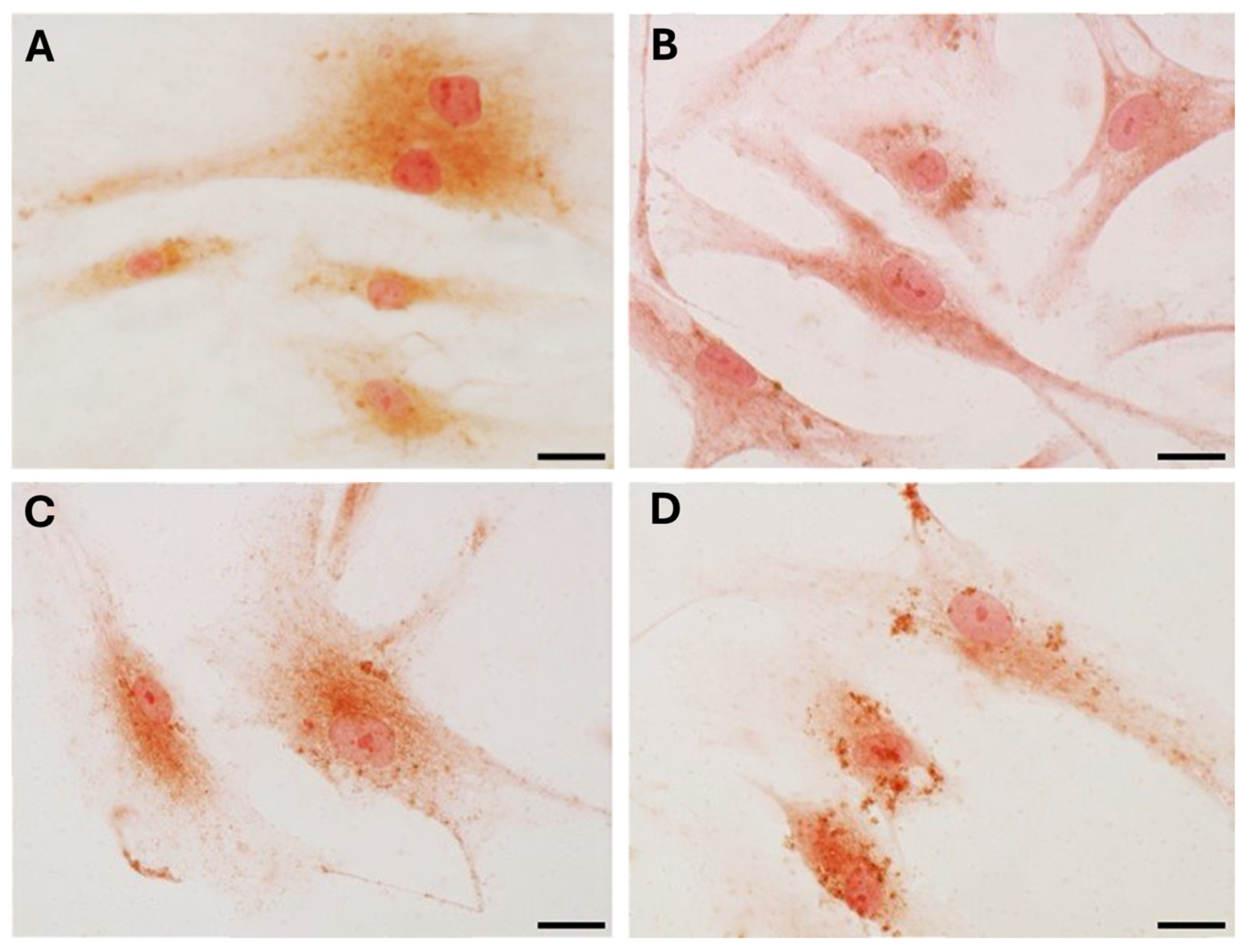 Biology 14 00746 g004